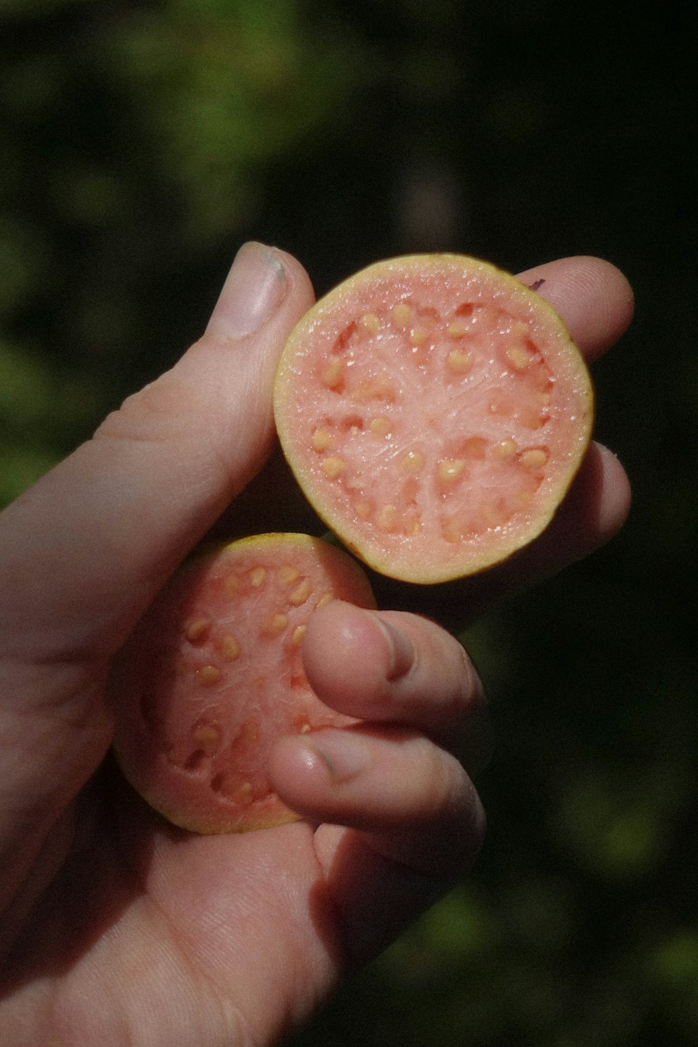 a person holding a piece of fruit in their hand