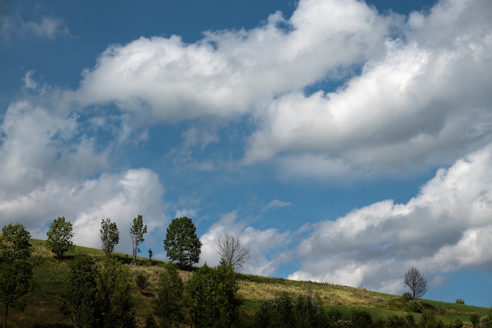 a grassy hill with trees and clouds in the background