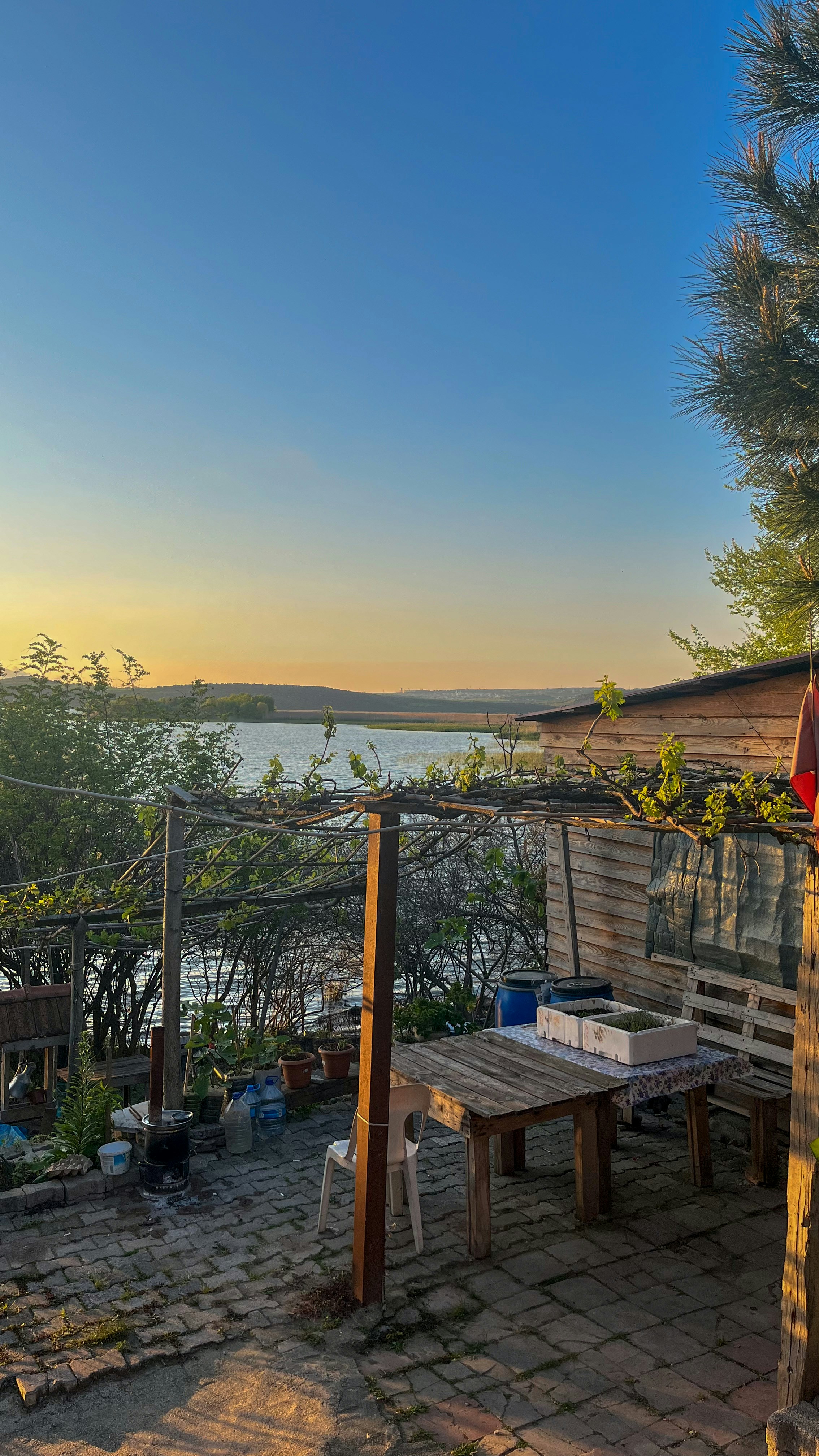 Photo by dipsysselection