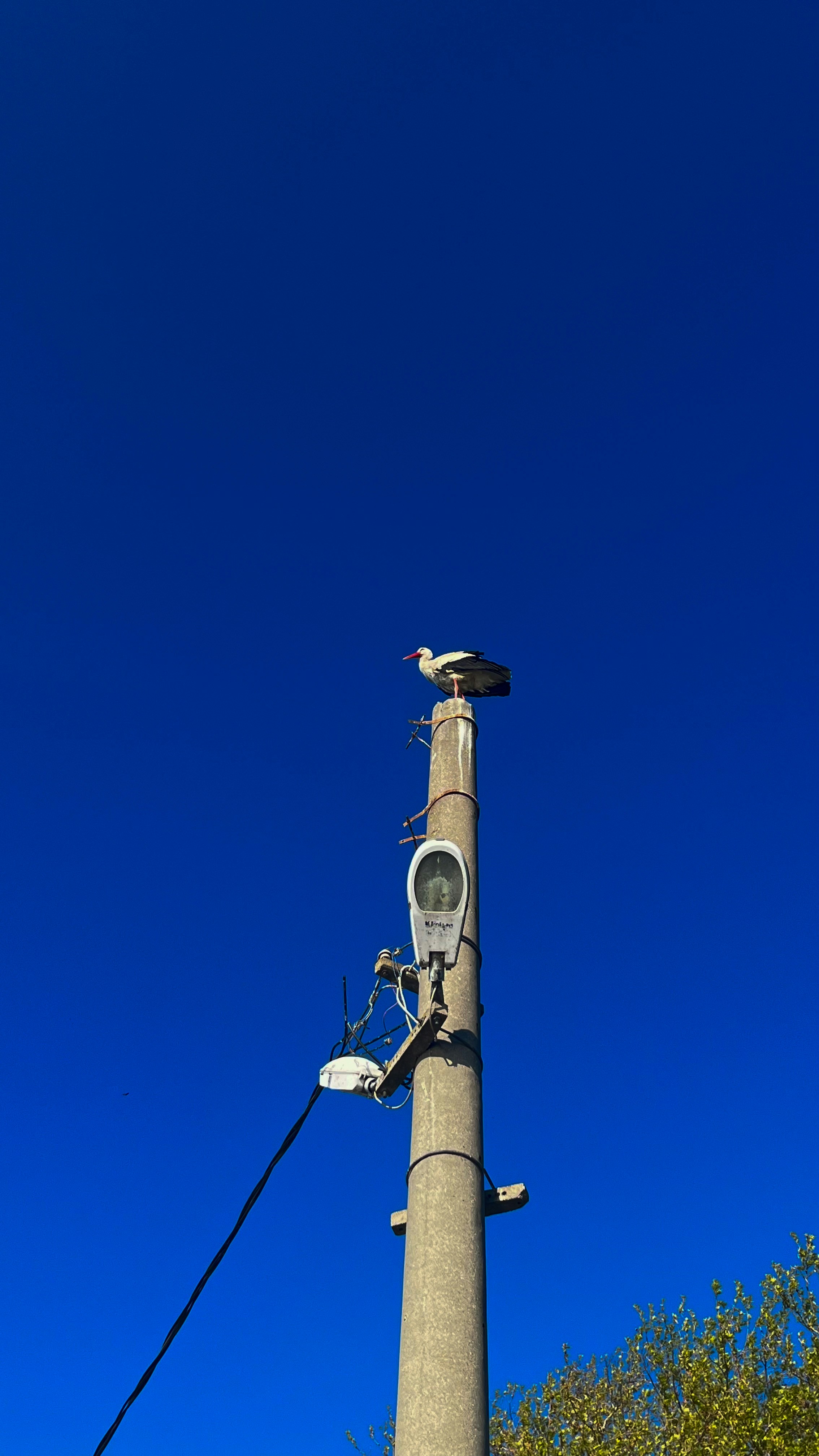 photo-1682458518804-18d34efeccfd?ixid=M3wxMjA3fDB8MXxzZWFyY2h8MTV8fG05OCUyMCVFMCVCOSU4MCVFMCVCOCU4MiVFMCVCOSU4OSVFMCVCOCVCMiVFMCVCOCVBQSVFMCVCOCVCOSVFMCVCOSU4OCVFMCVCOCVBMyVFMCVCOCVCMCVFMCVCOCU5QSVFMCVCOCU5QSUyMCVFMCVCOCVBNSVFMCVCOSU4OCVFMCVCOCVCMiVFMCVCOCVBQSVFMCVCOCVCOCVFMCVCOCU5NHxlbnwwfHx8fDE3NjU3OTU5Mzd8MA\u0026ixlib=rb-4.1.0