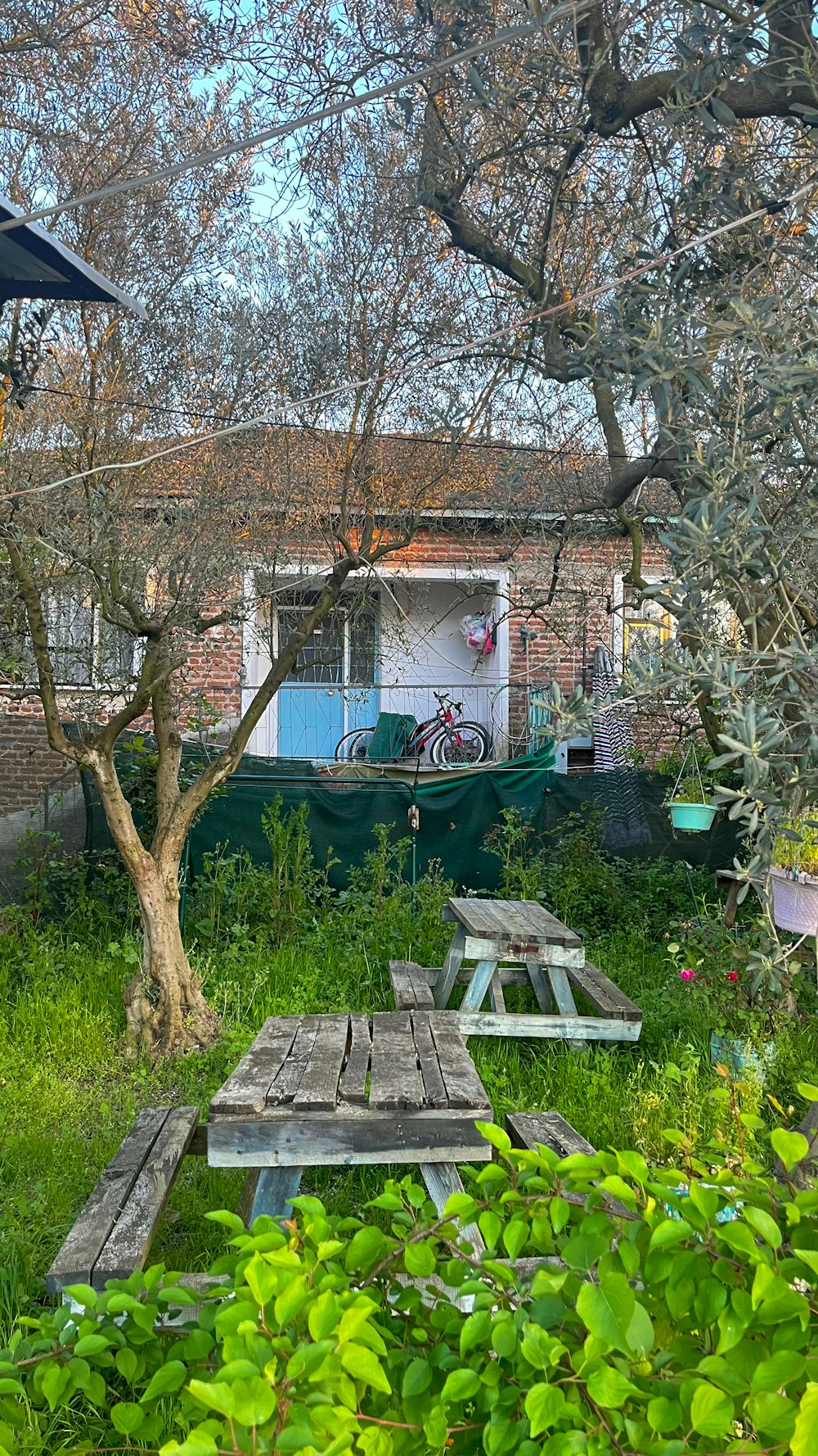 a wooden picnic table sitting next to a tree