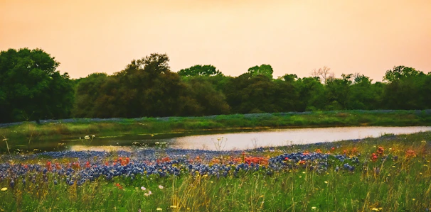 A serene landscape depicting diverse forms of life thriving together.
