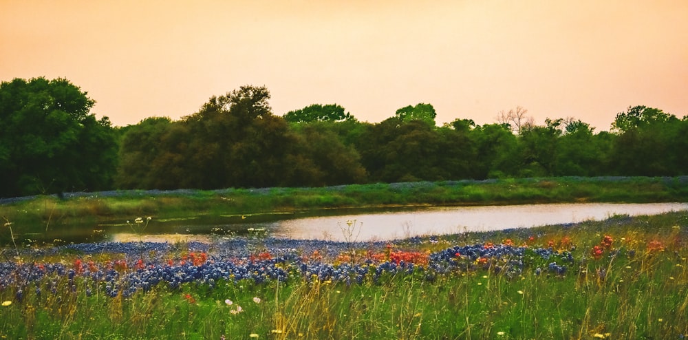 ein Gemälde eines Teiches, umgeben von Wildblumen