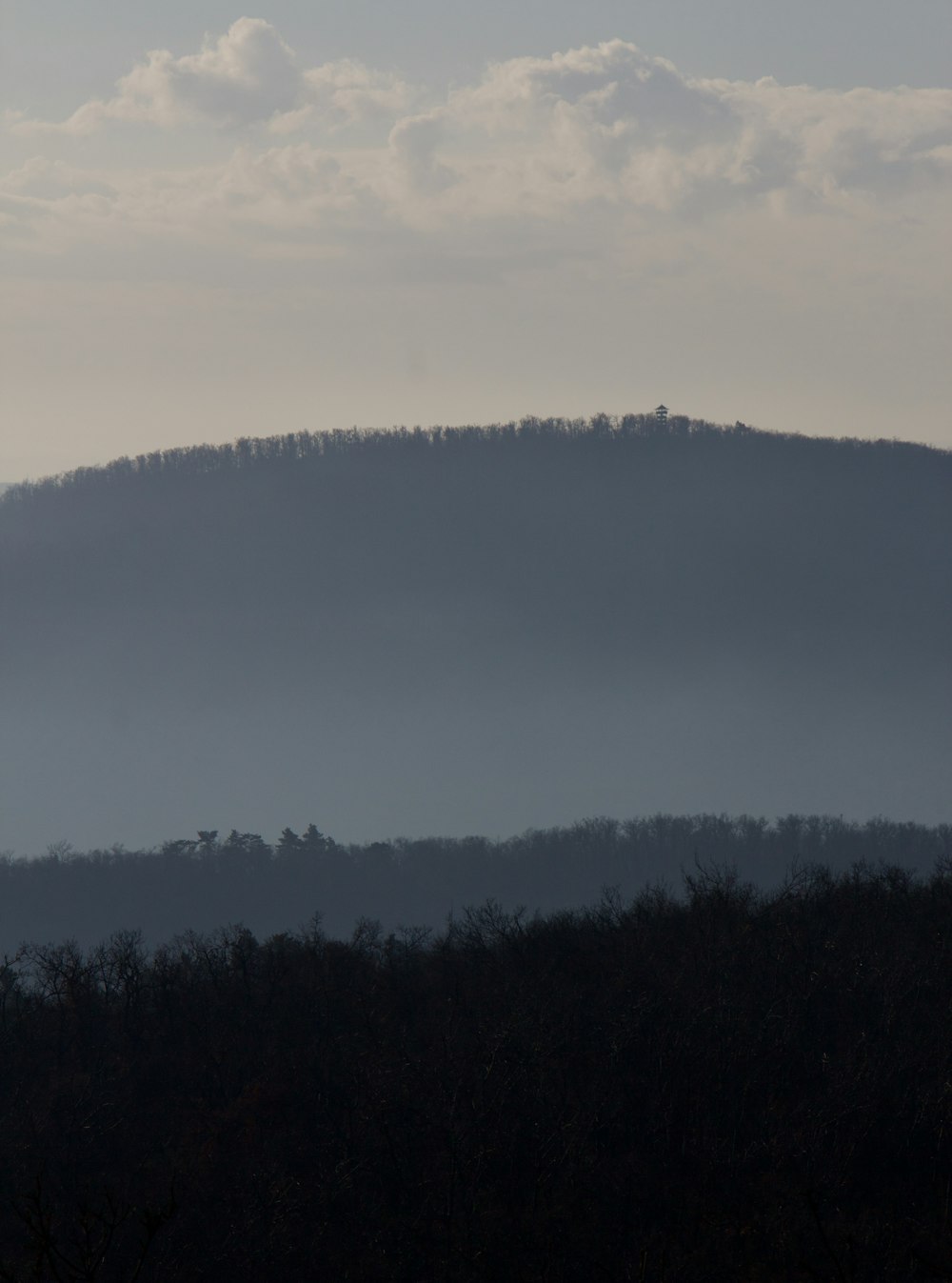 a large hill with trees on the side of it