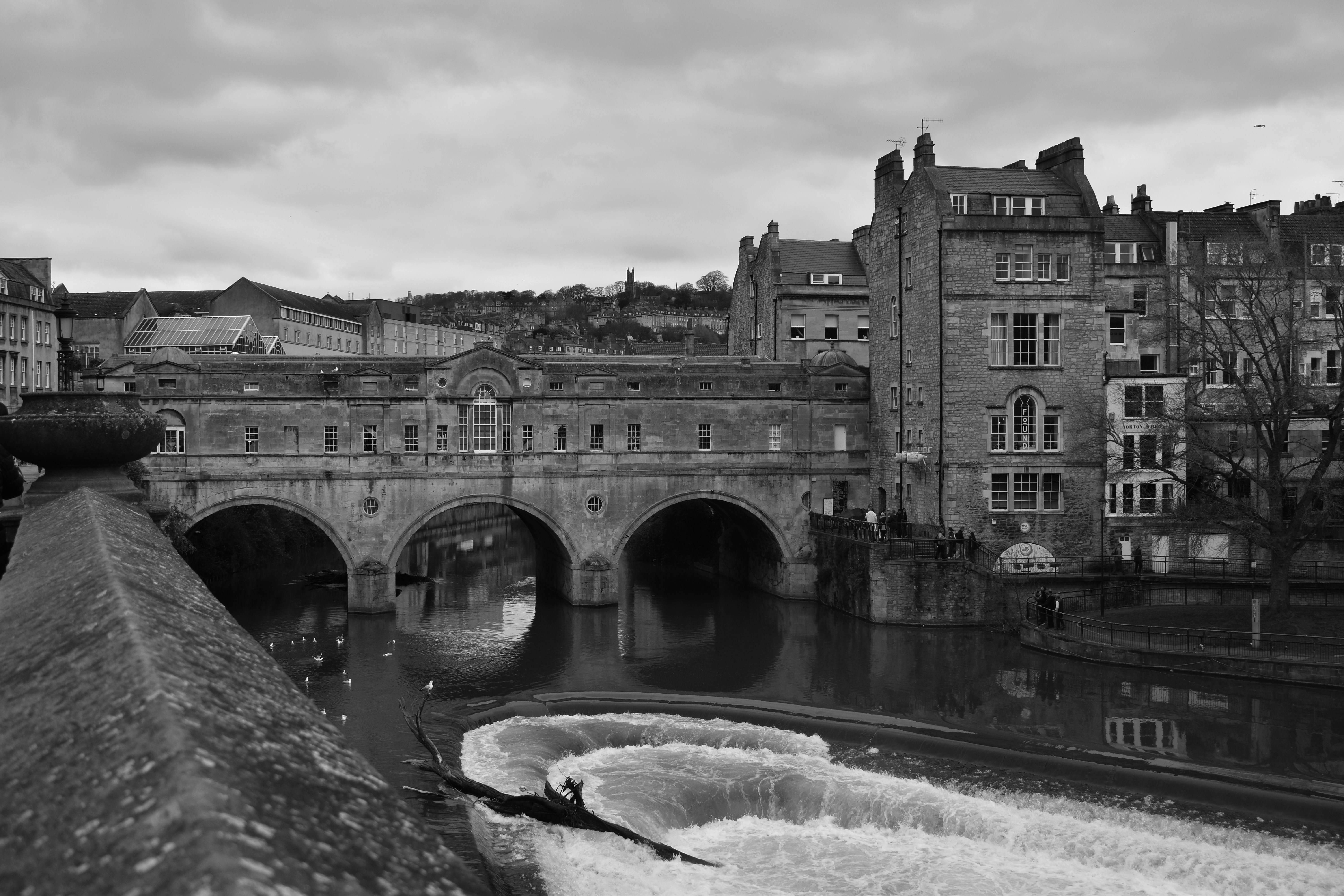 Image by Maddison Carter via Unsplash