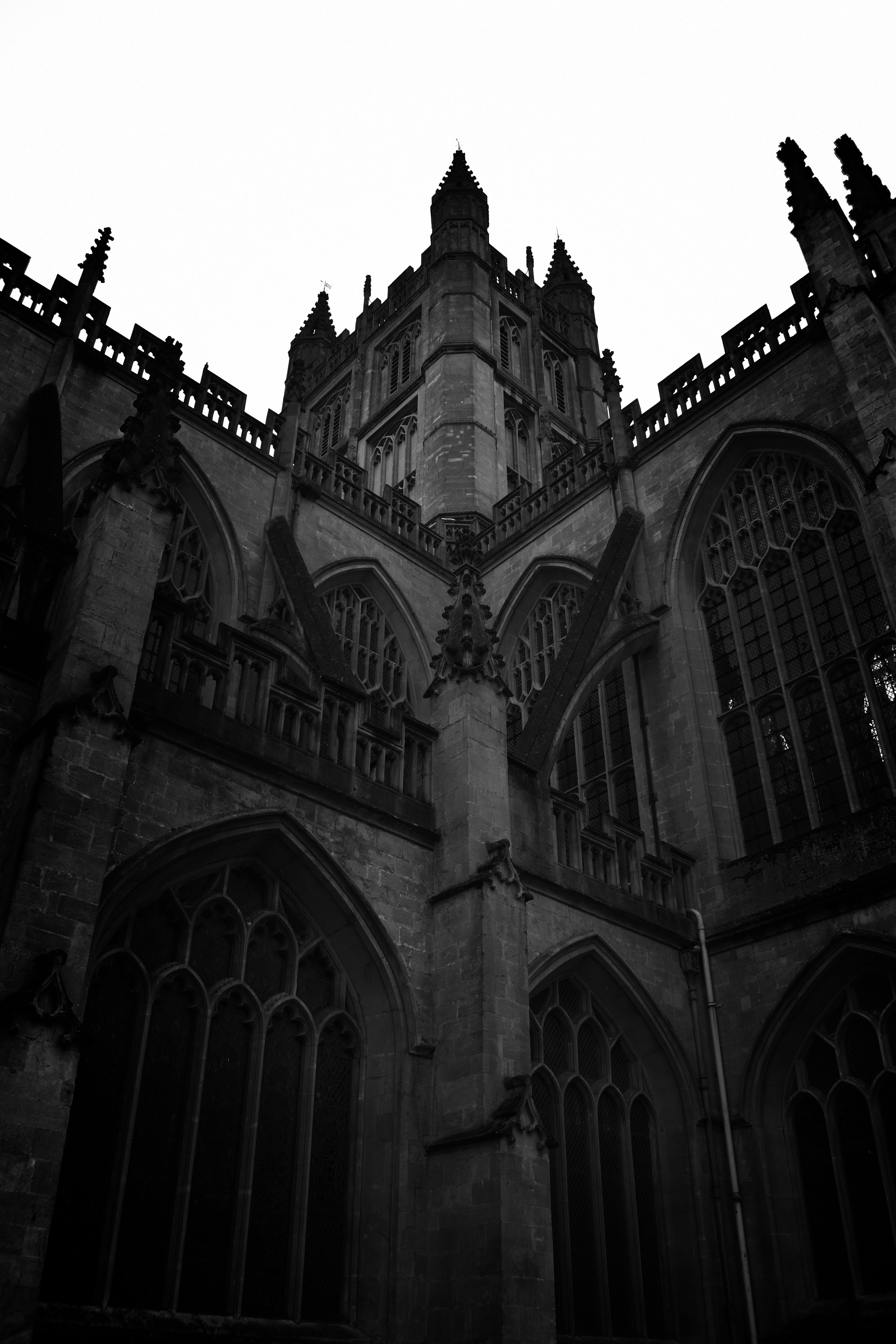 Photo by maddisoncarter