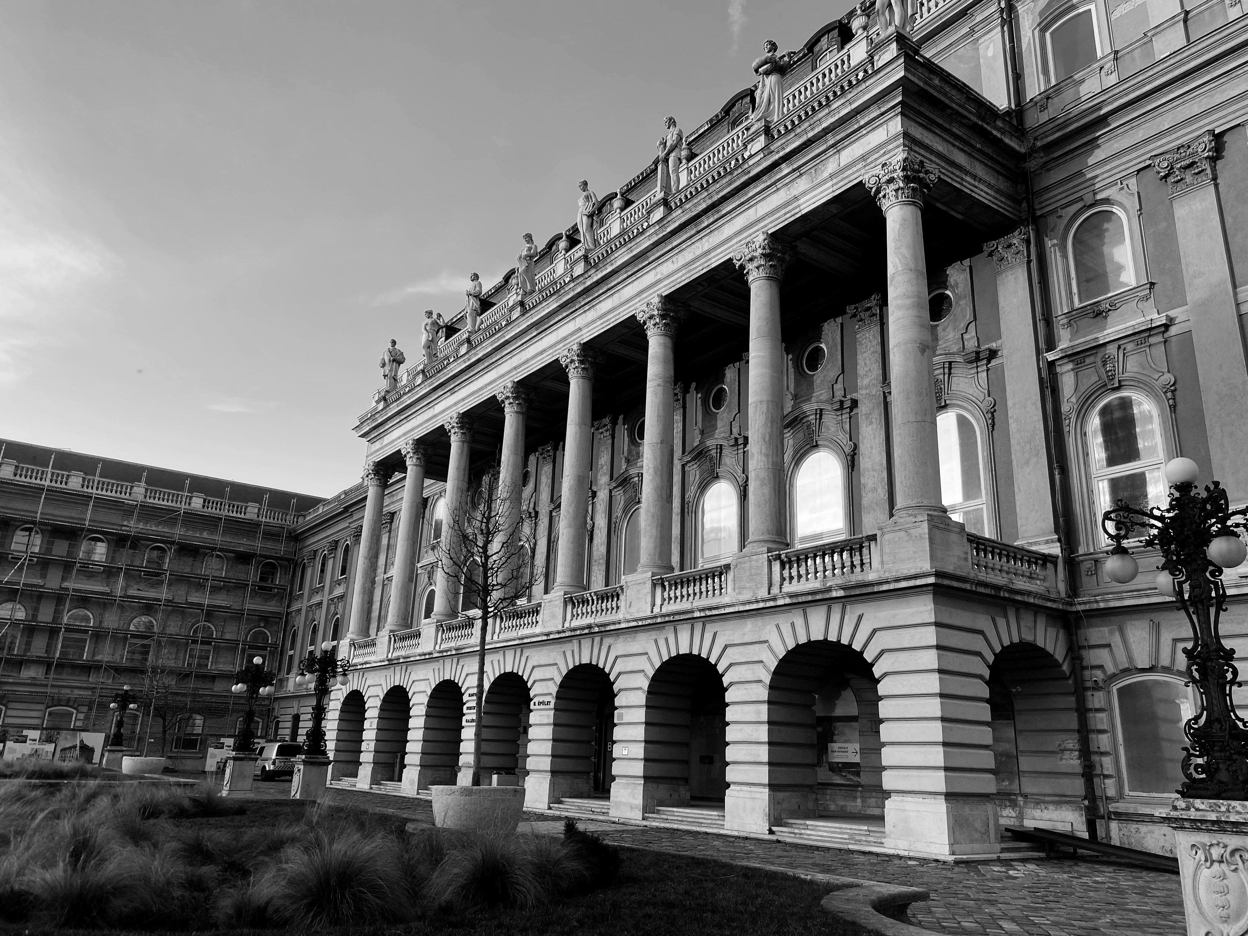 Photo by maddisoncarter