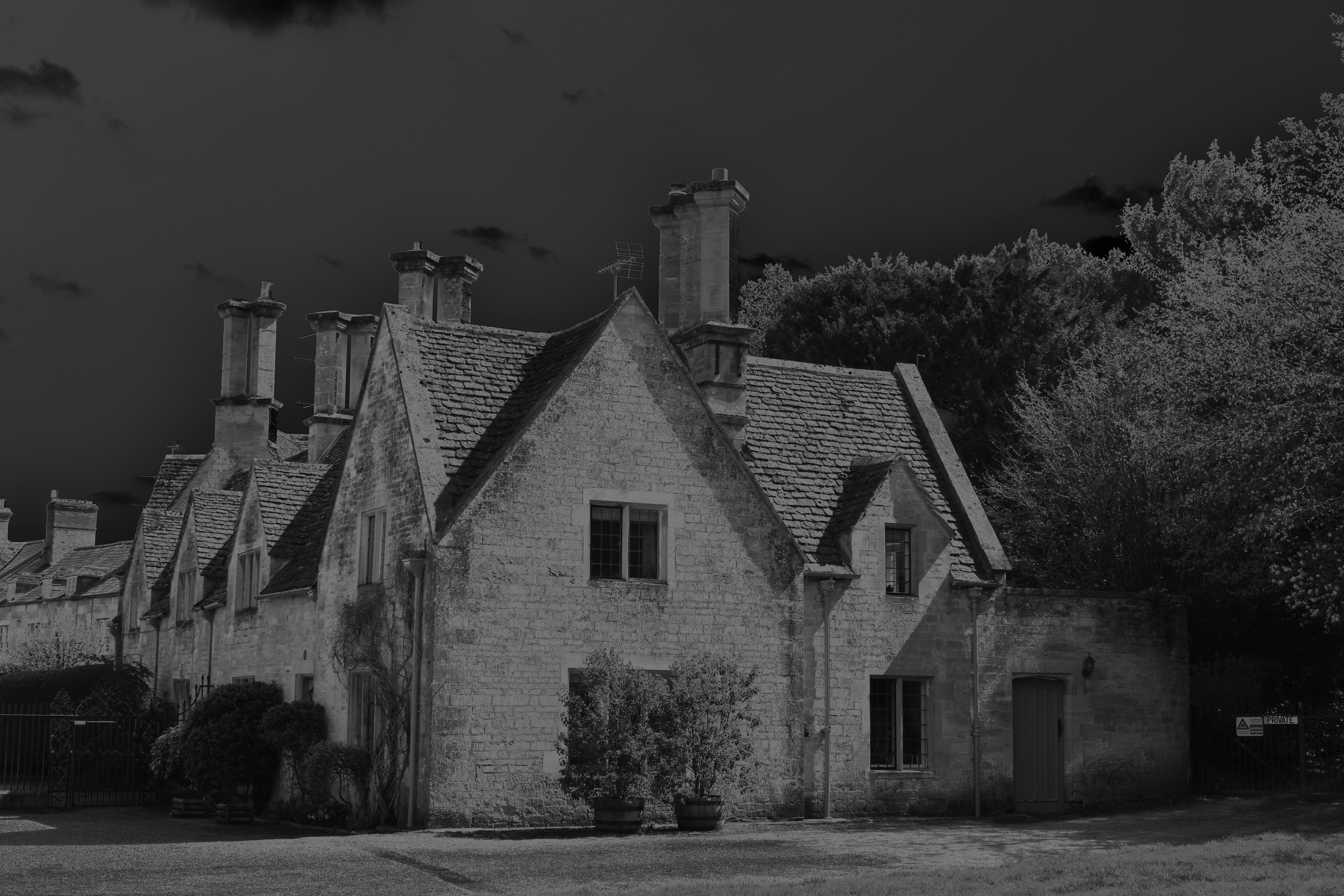 Photo by maddisoncarter