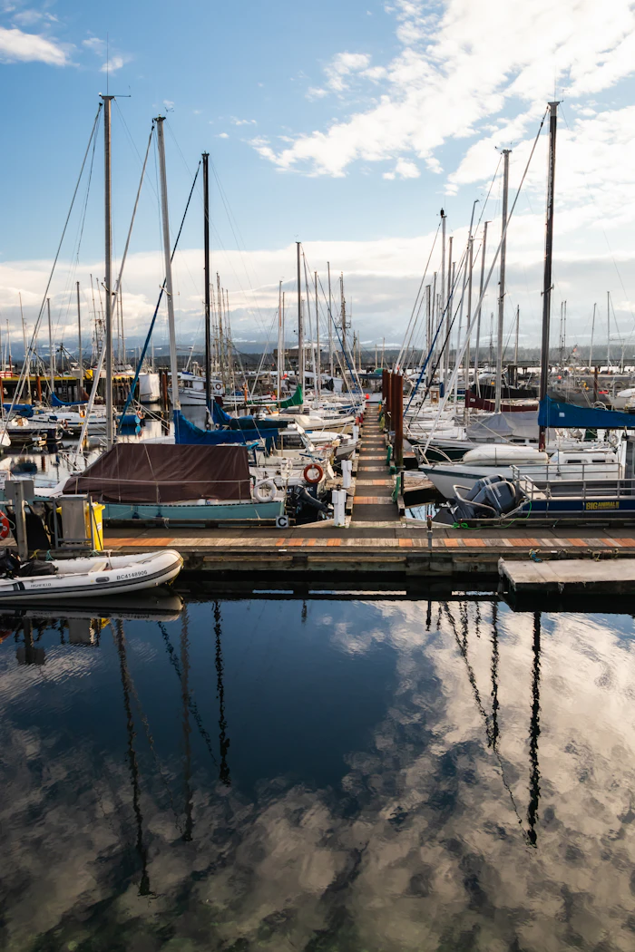 Muelle rodeado por embarcaciones