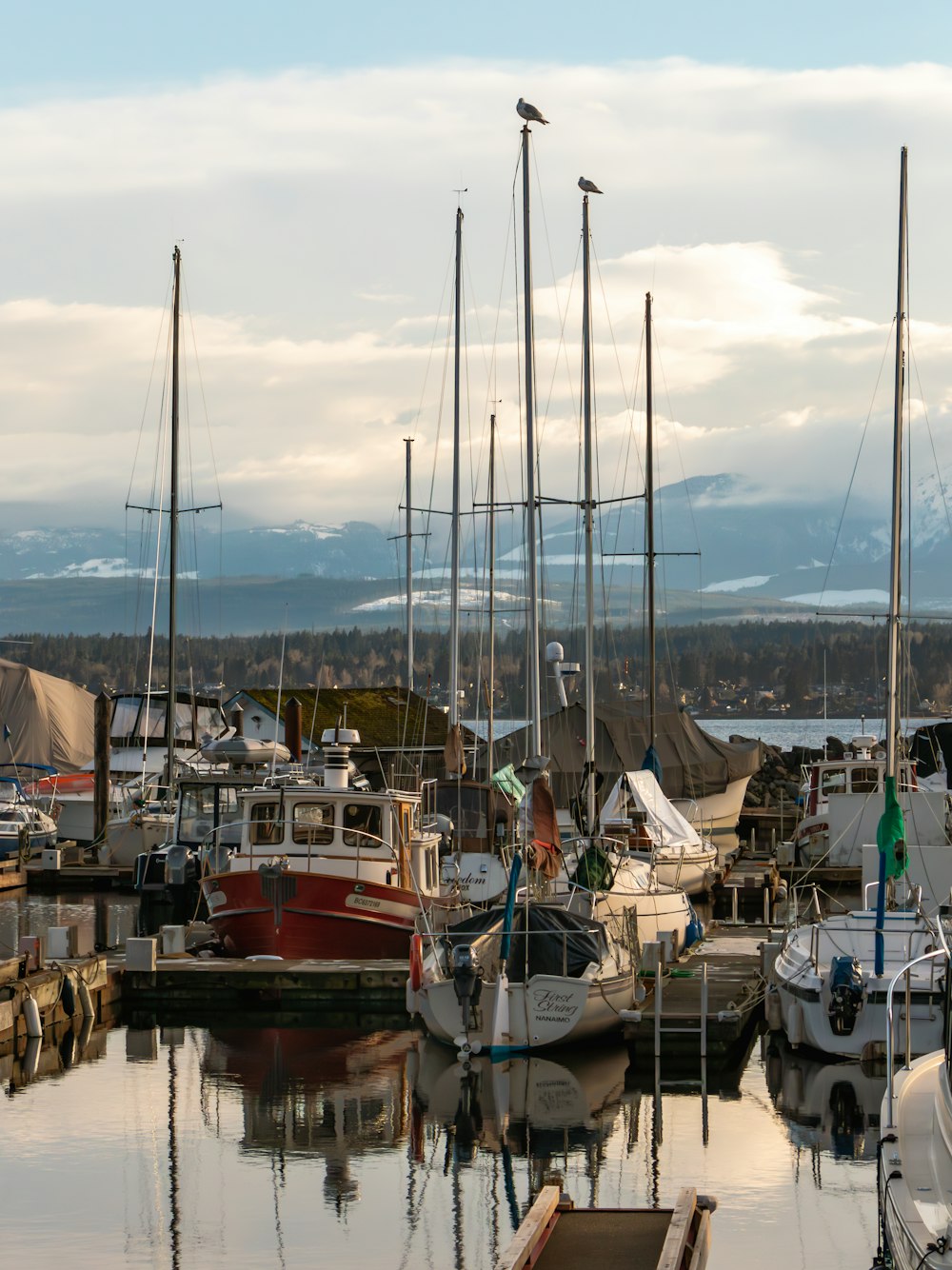 a harbor filled with lots of boats under a cloudy sky