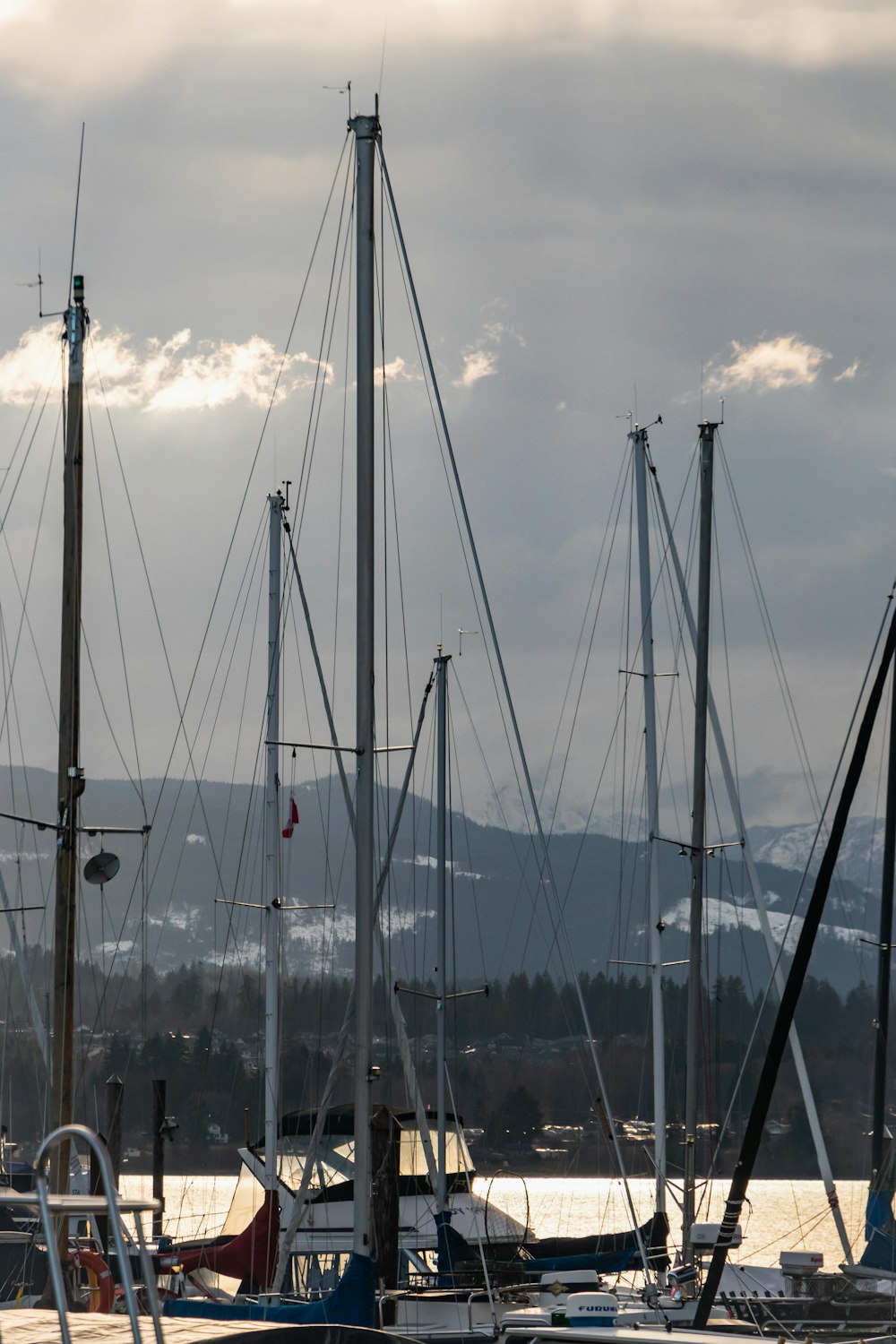 a group of sailboats docked in a harbor