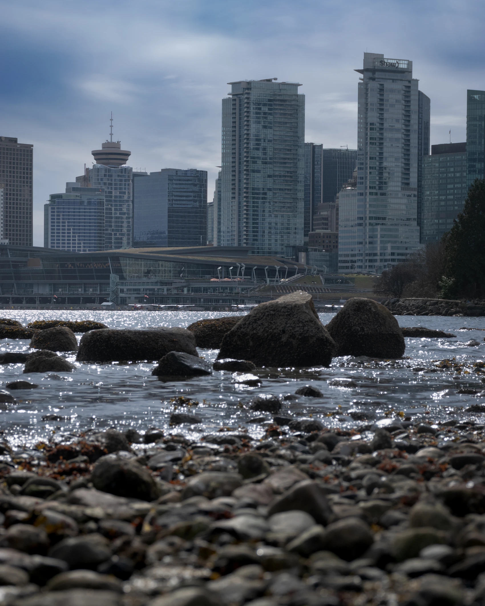 Vancouver skyline seen across the water from Stanley Park