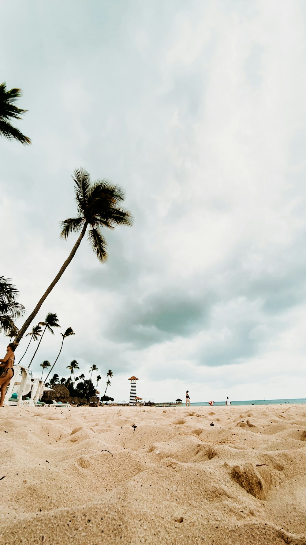 a man standing on top of a sandy beach next to a palm tree