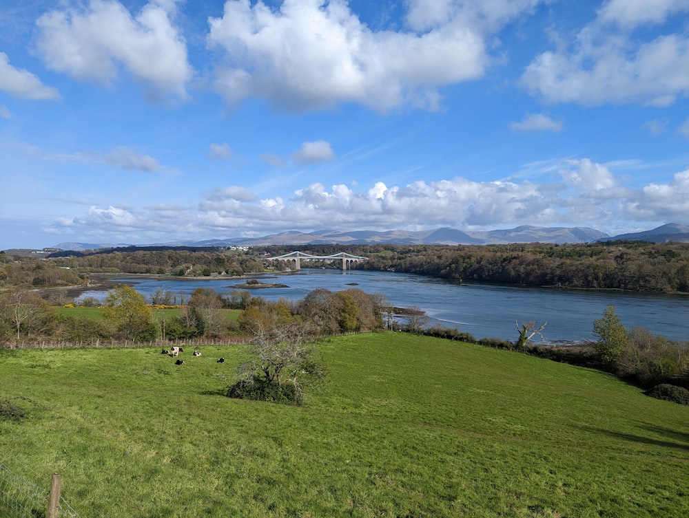 a green field with a bridge in the distance