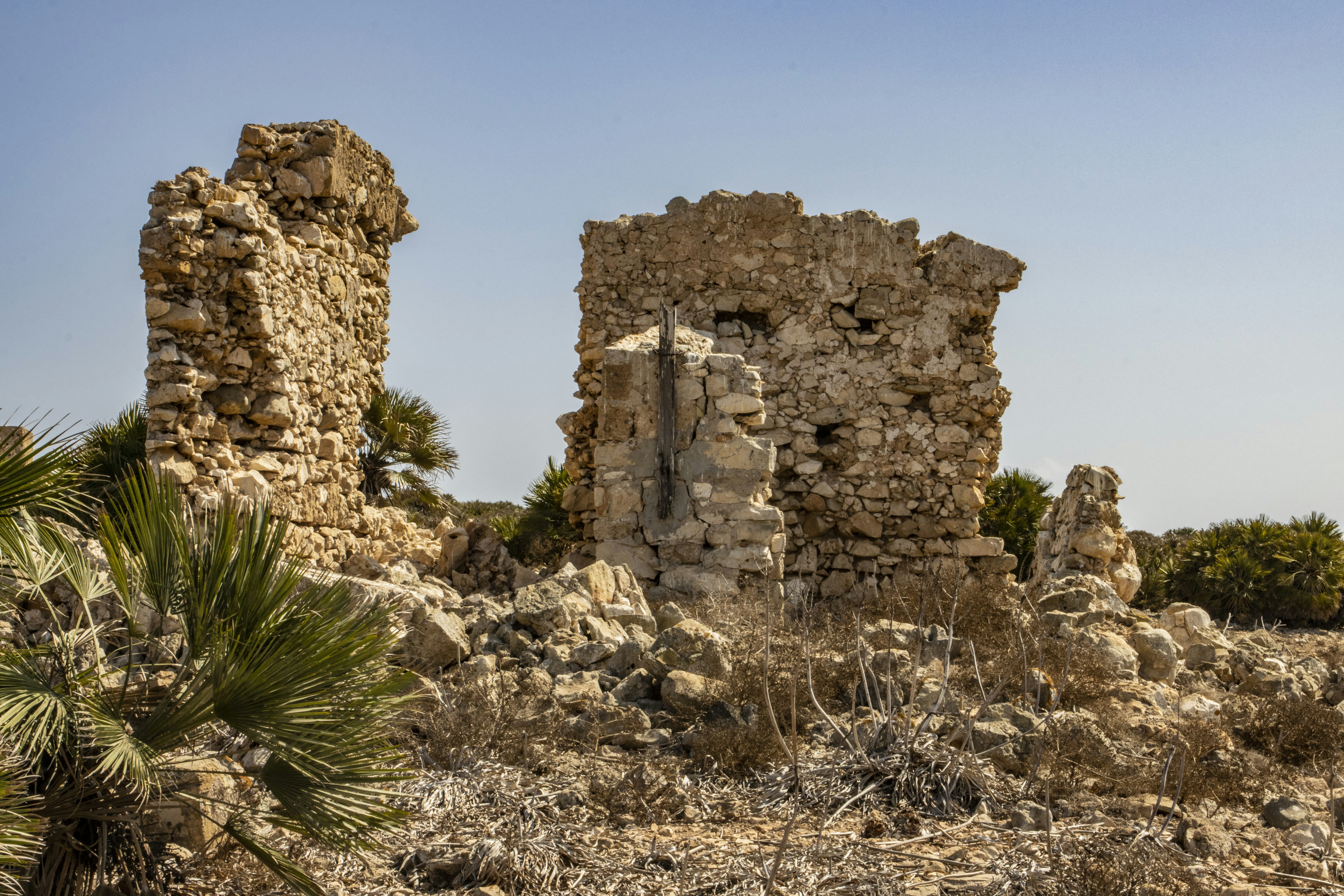 صورة المعرض