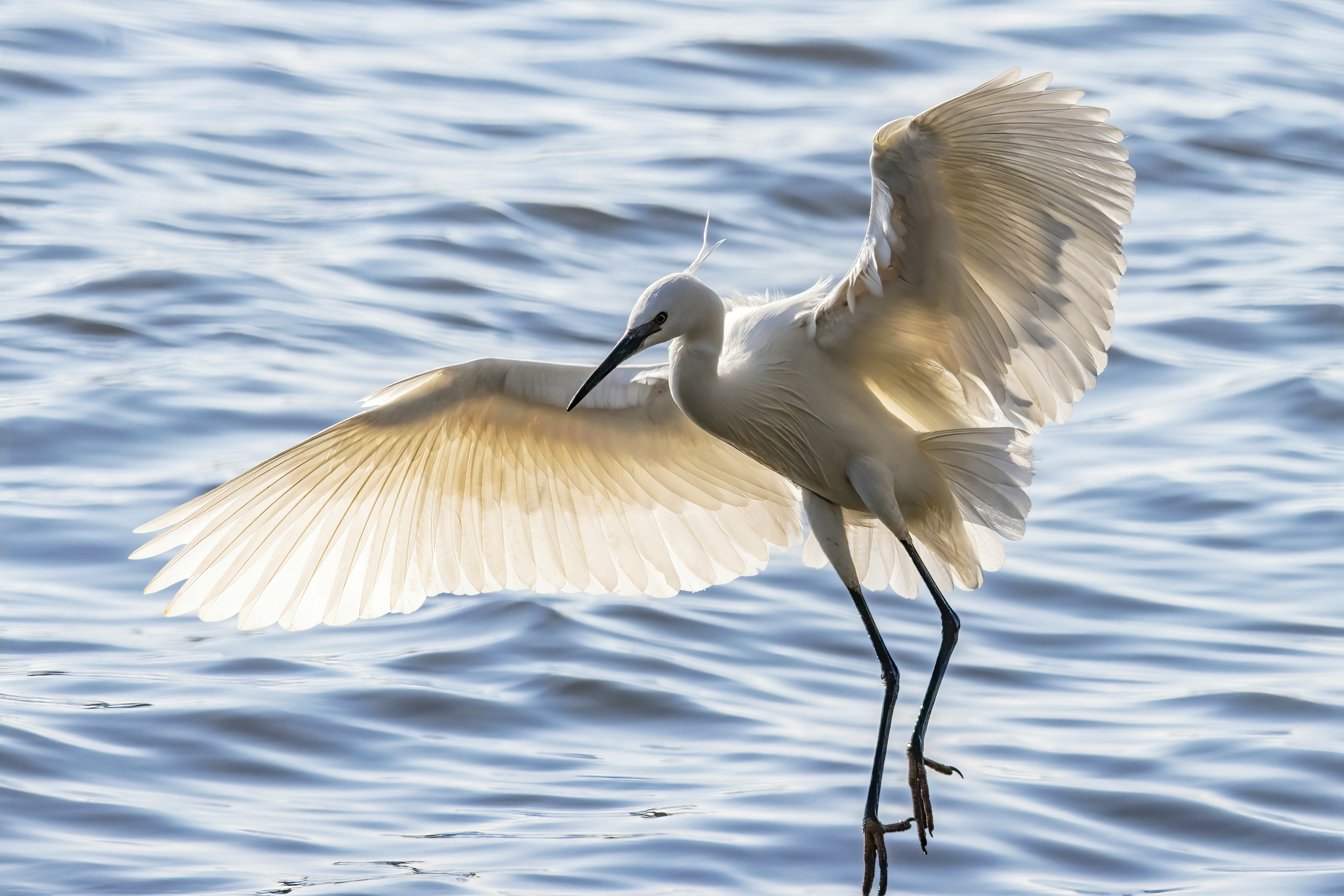 Photo by jddartphotographer