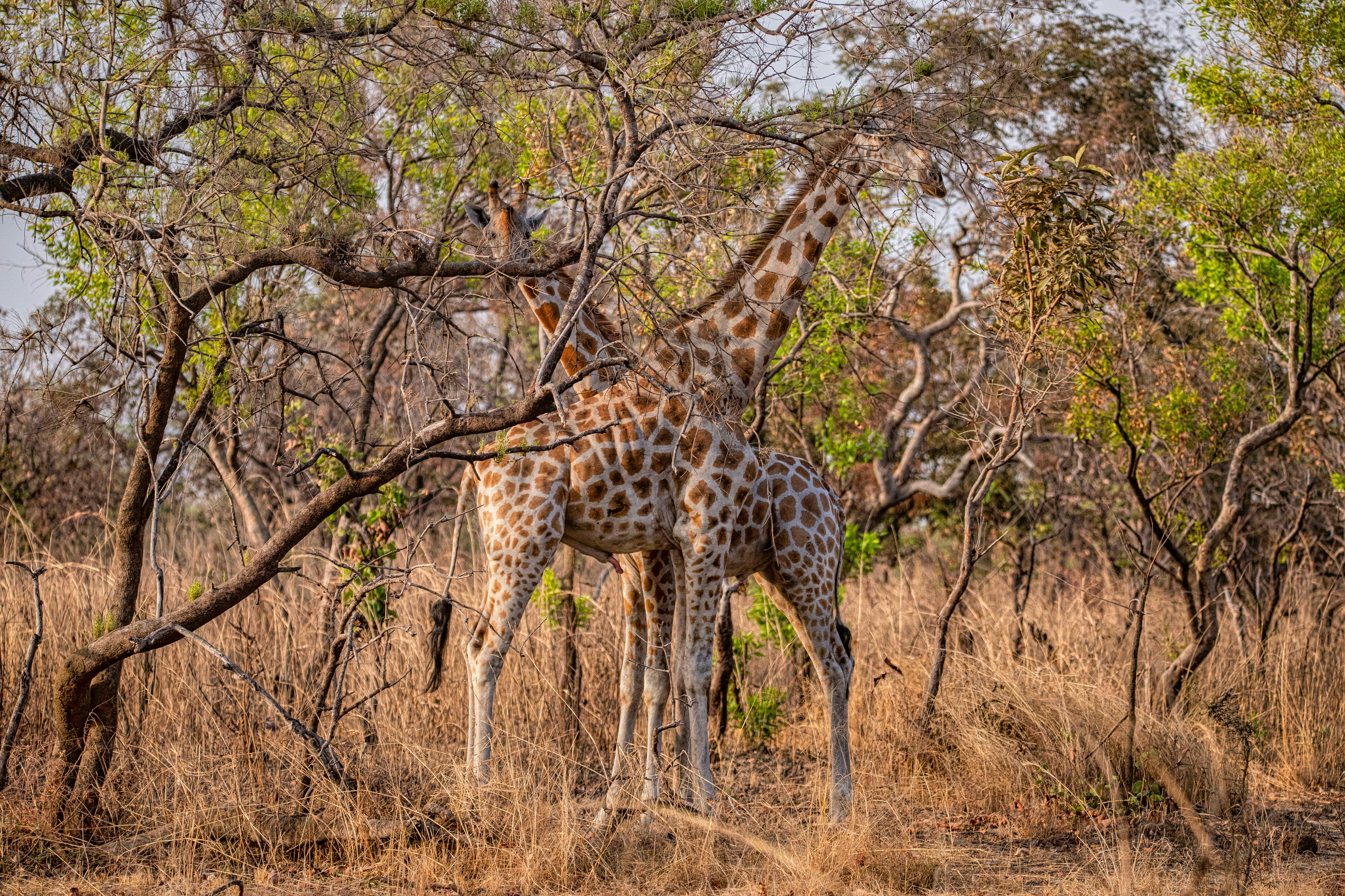 Photo by jddartphotographer