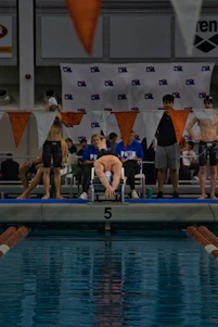 Swimmers diving into a pool at the start of a competitive race under bright stadium lights.