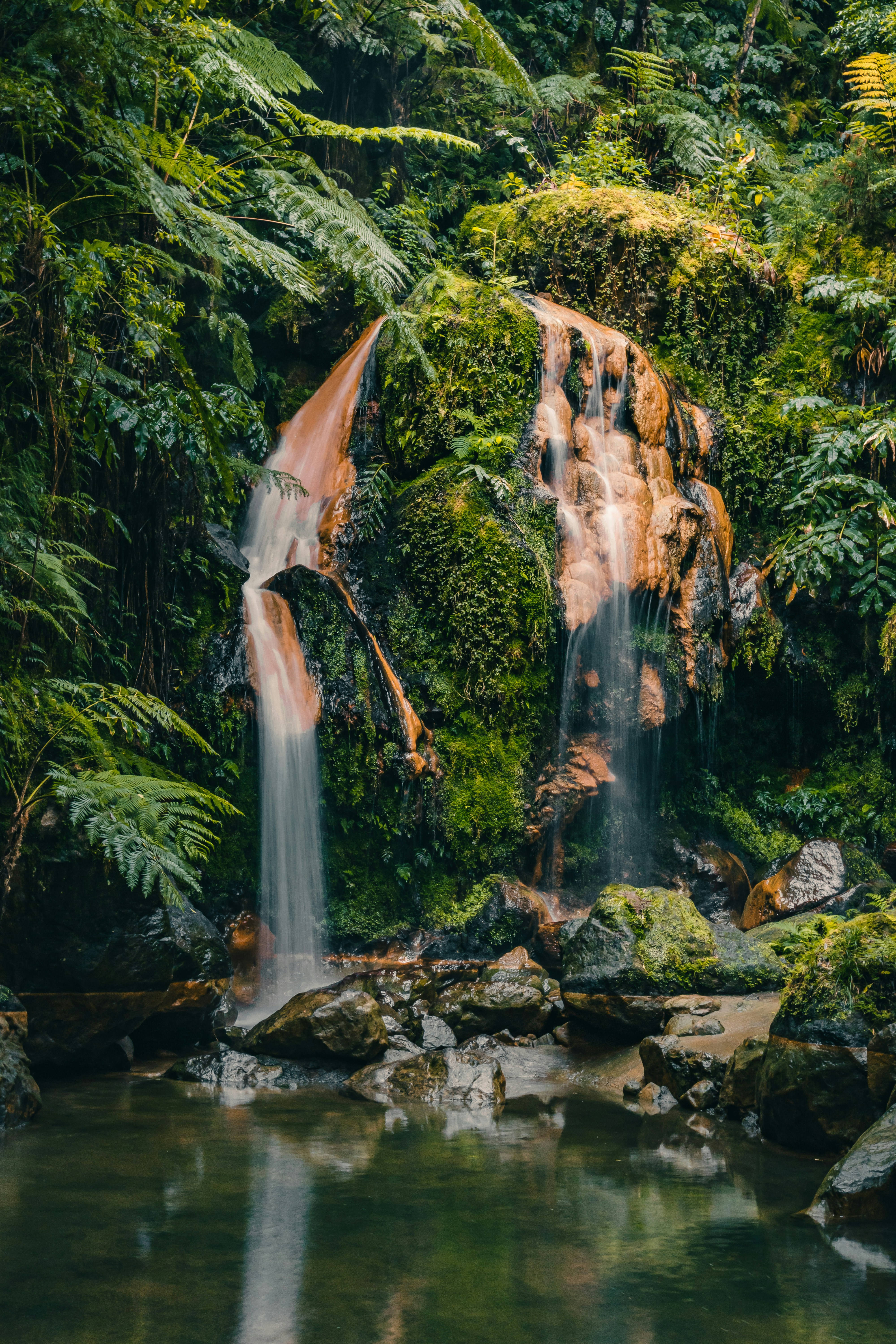 a waterfall in the middle of a lush green forest