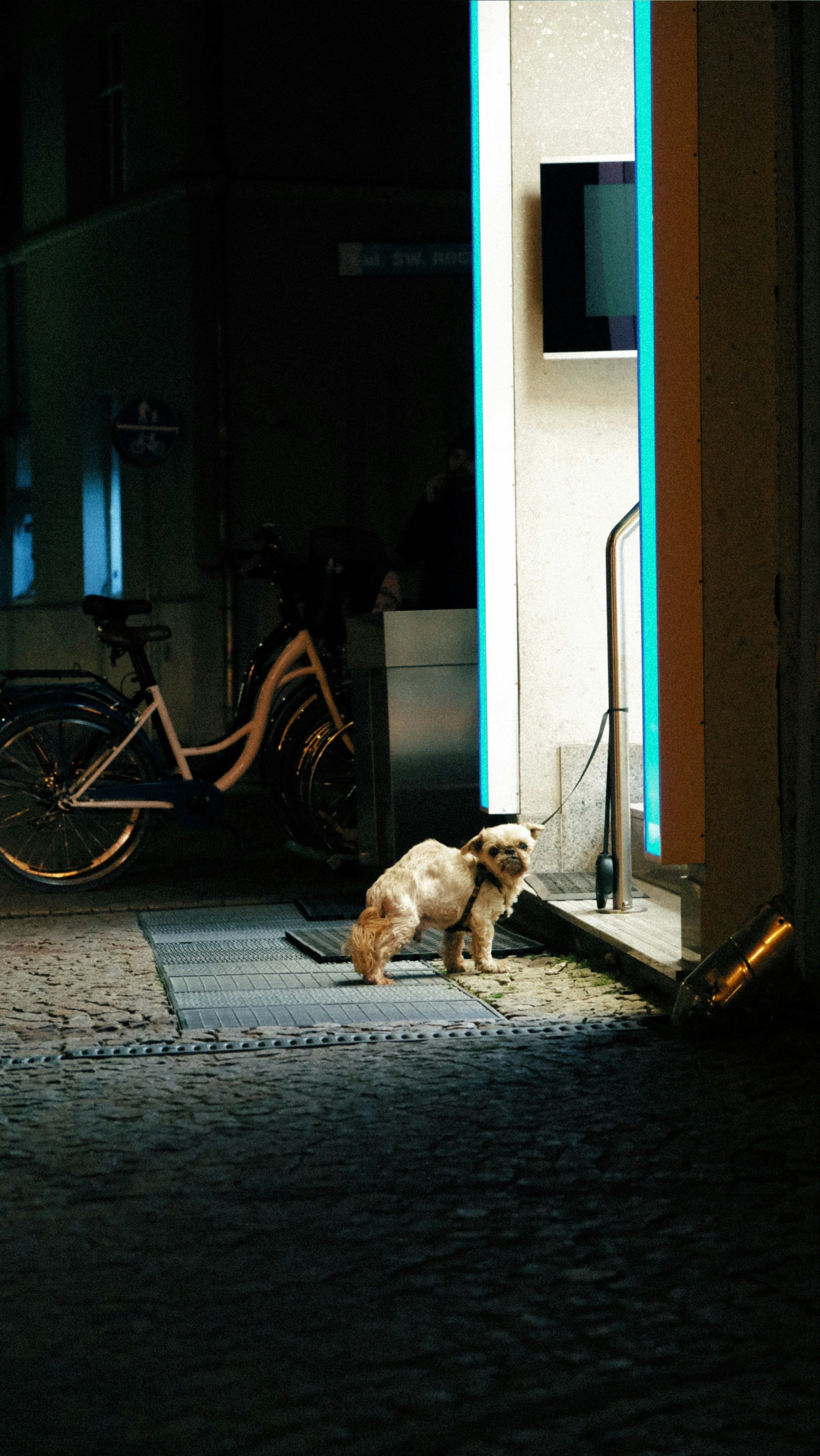 Photo by alkazavr