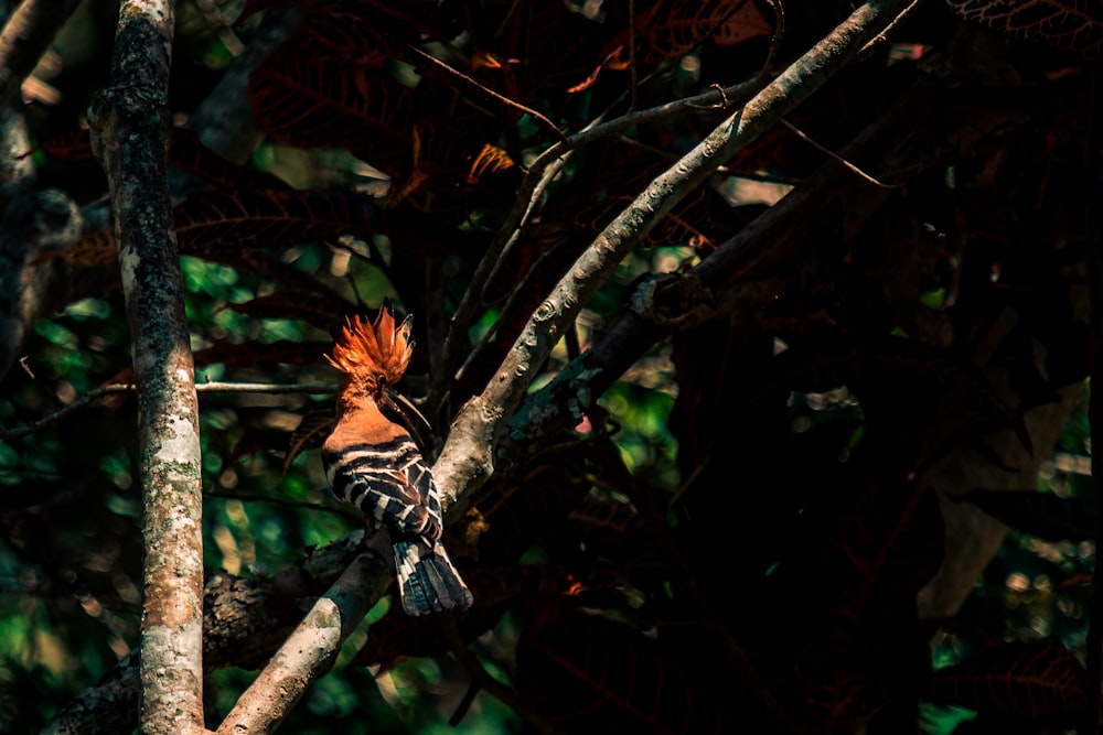 a bird perched on top of a tree branch