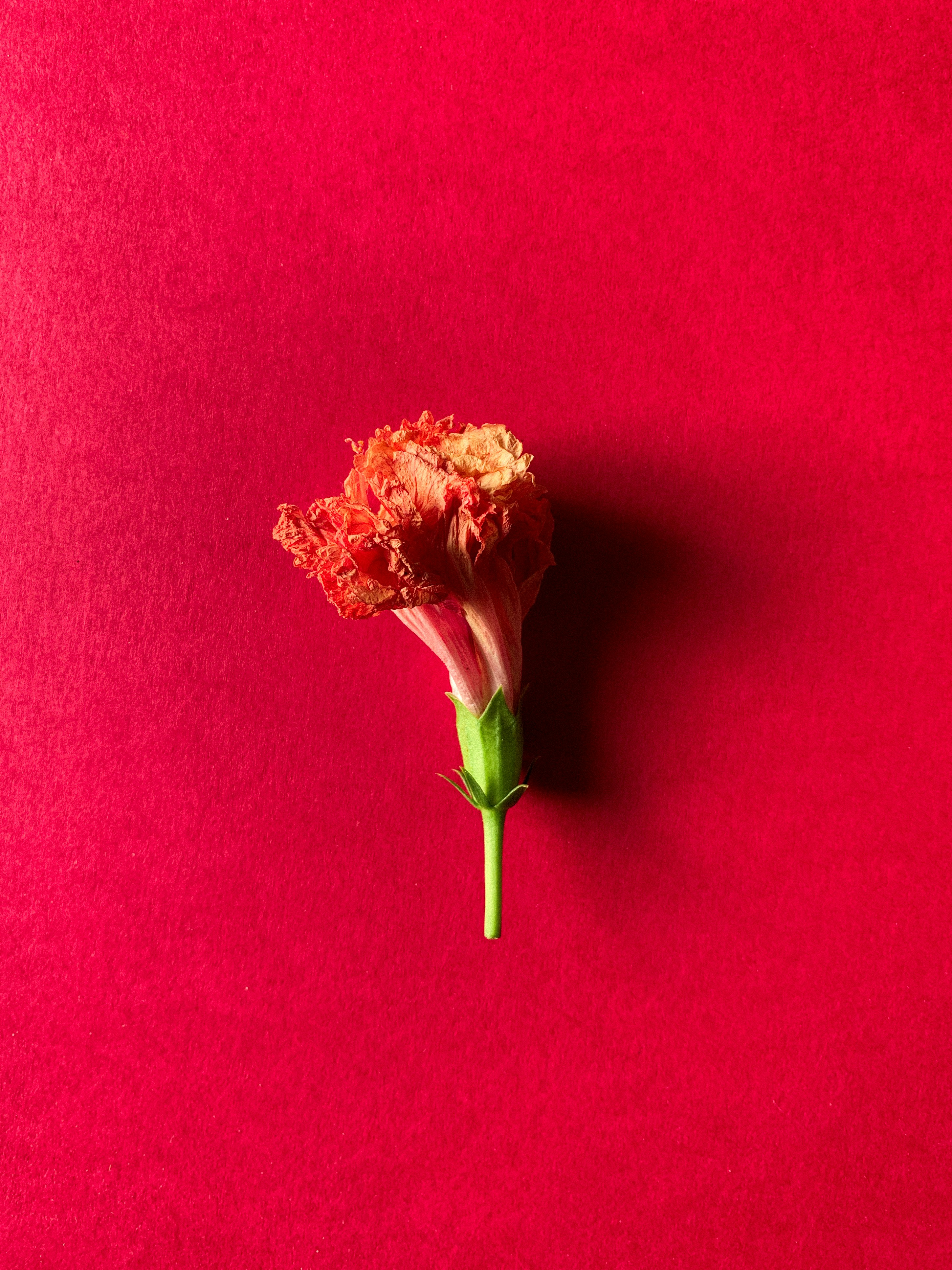 Photo by akshar_dave