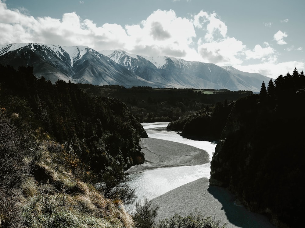 a river running through a lush green forest