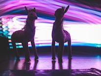 Two silhouetted llama figures are prominently featured against a backdrop of vibrant, swirling lights in shades of purple, pink, and blue. The figures are likely made of woven material, and their shadows are cast on a reflective surface below.