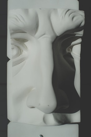 A close-up view of a sculpted white plaster face, focusing on the nose and eyes, with notable shadows adding depth to the features.