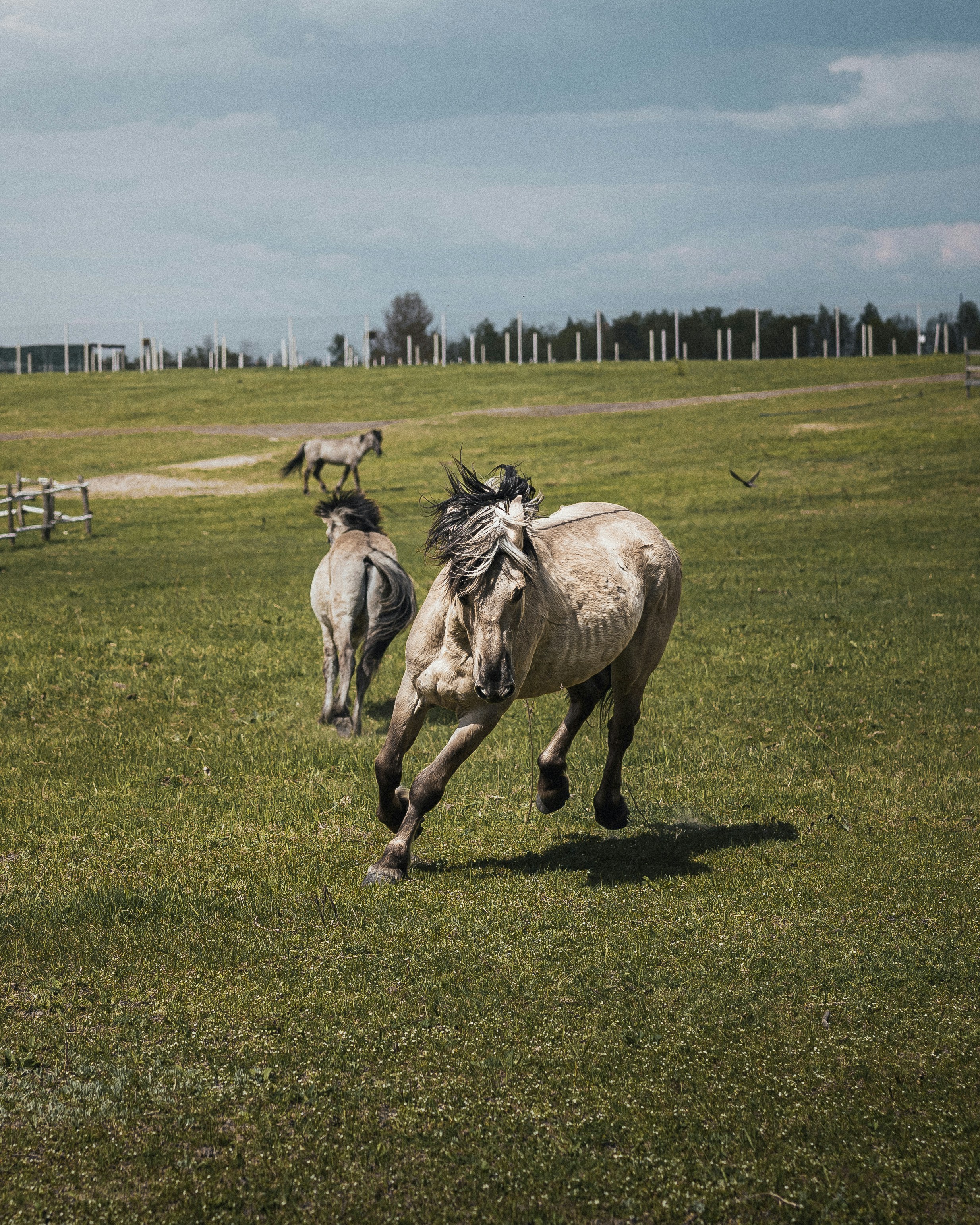 Photo by maksym_tymchyk