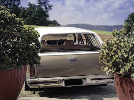 A vintage car is parked between two large potted shrubs. The car appears to be a sedan with a beige exterior and a white roof, displaying a badge that reads 'Kingswood SL'. The scene is set in an outdoor area with grassy fields and hills in the background under a partly cloudy sky.