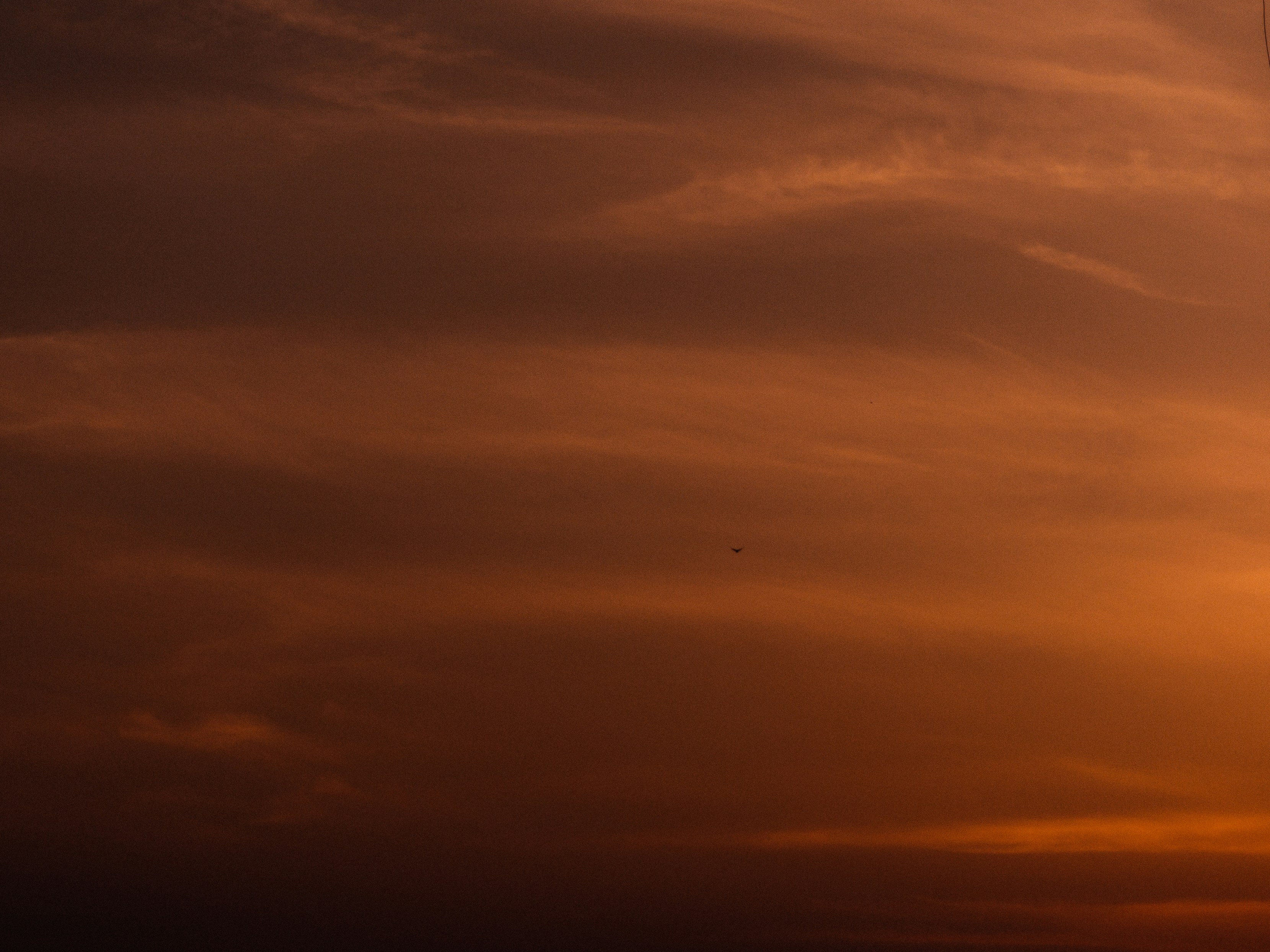 Photo by amritanshdubey