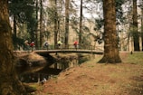 Group of riders crossing a rustic wooden bridge surrounded by dense forest