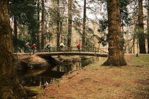 Group of riders crossing a rustic wooden bridge surrounded by dense forest