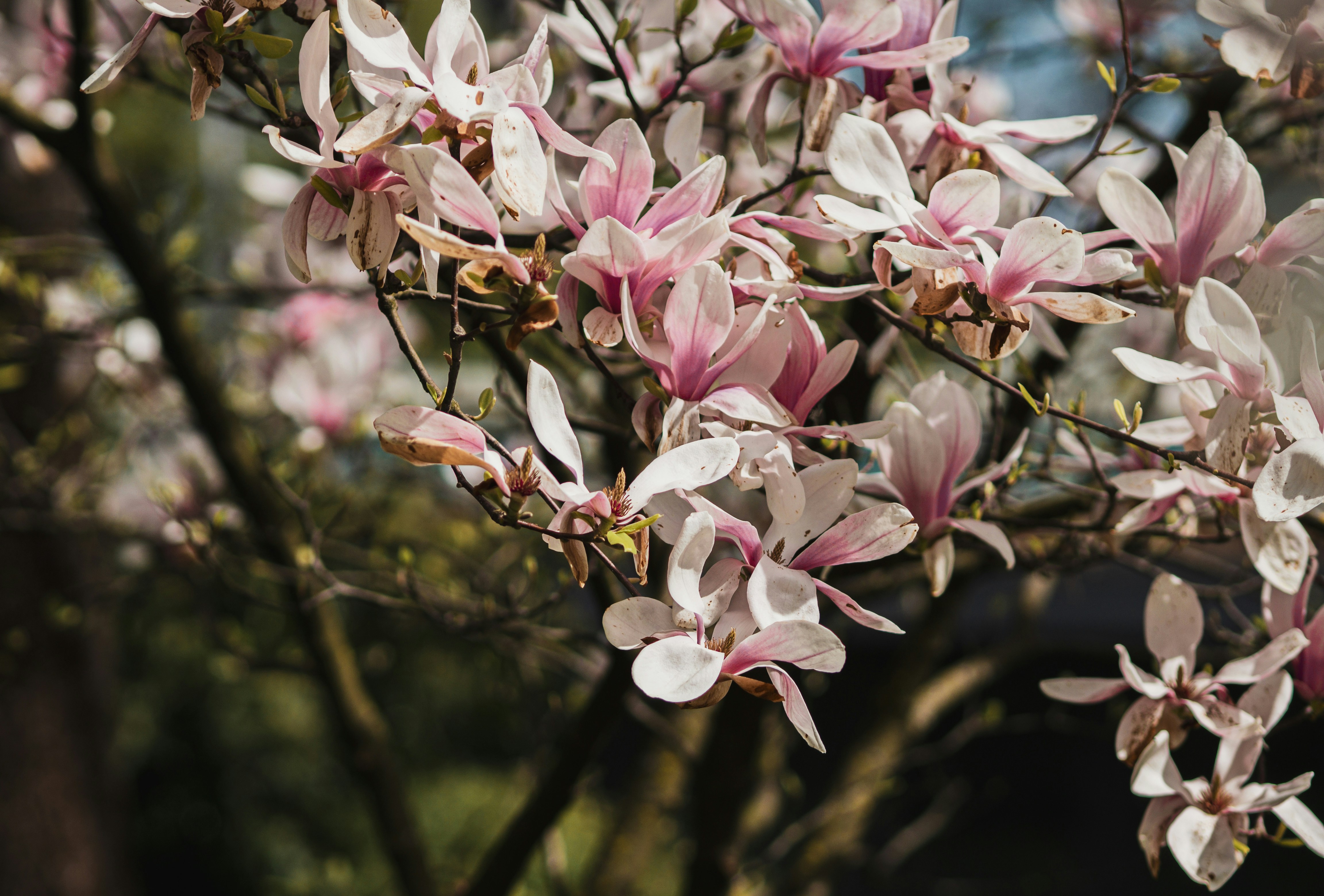 Photo by anna_c_wilhelm