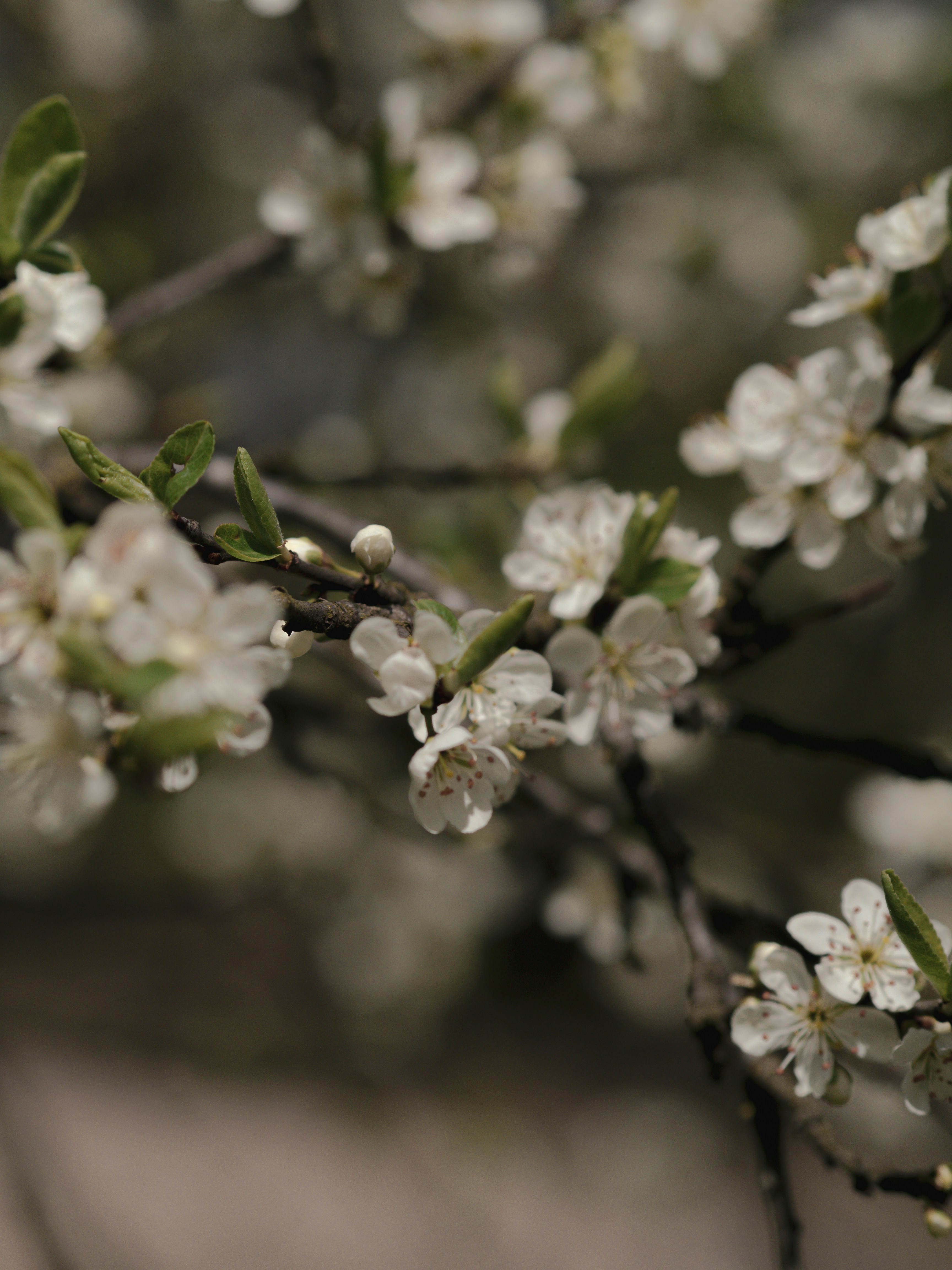 Photo by anna_c_wilhelm