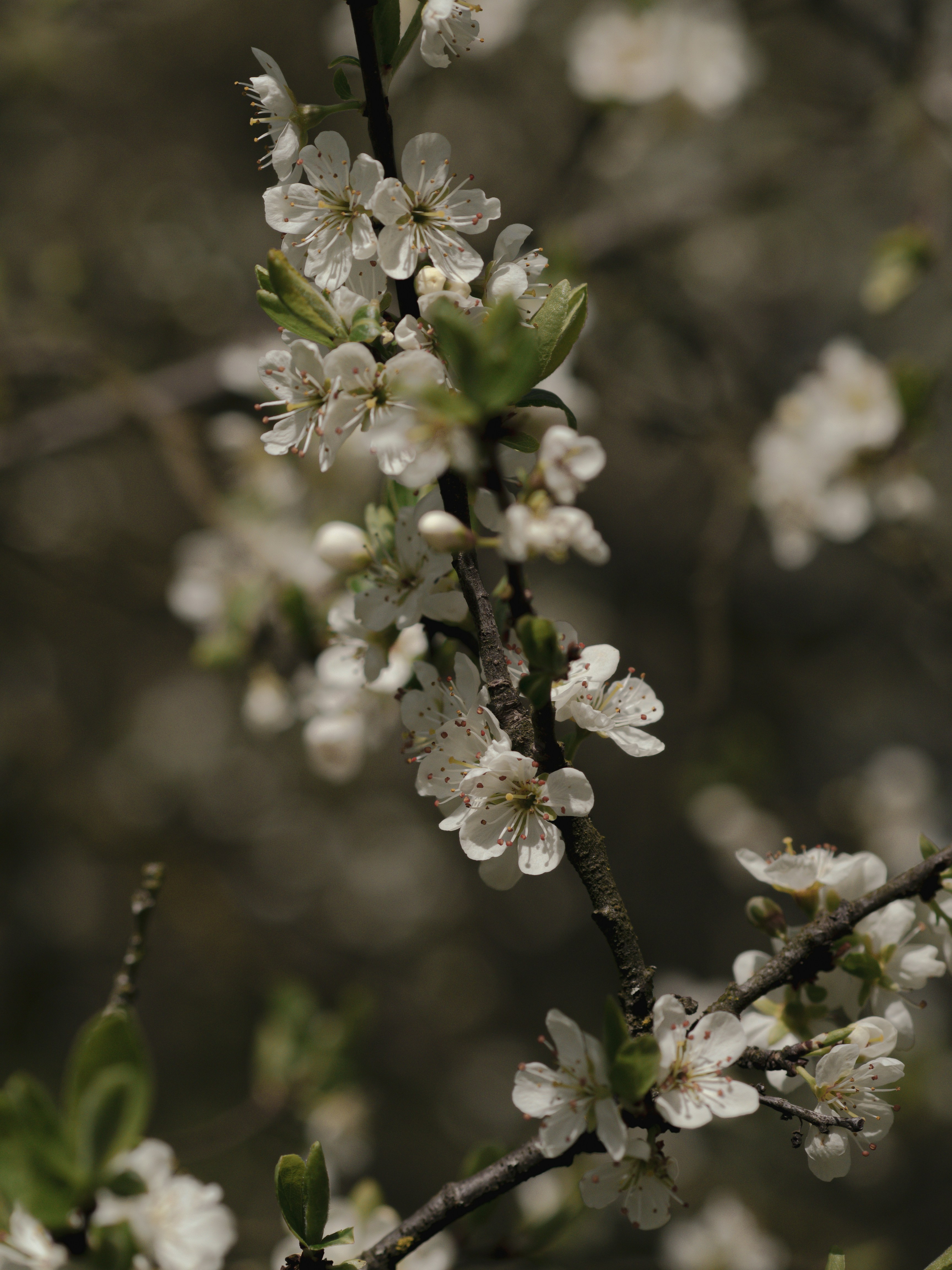 Photo by anna_c_wilhelm