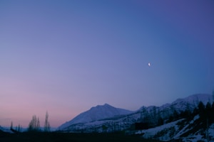 Shiva in Stillness