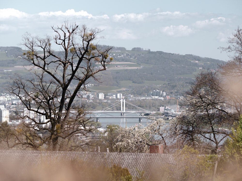 a view of a bridge and a city in the distance