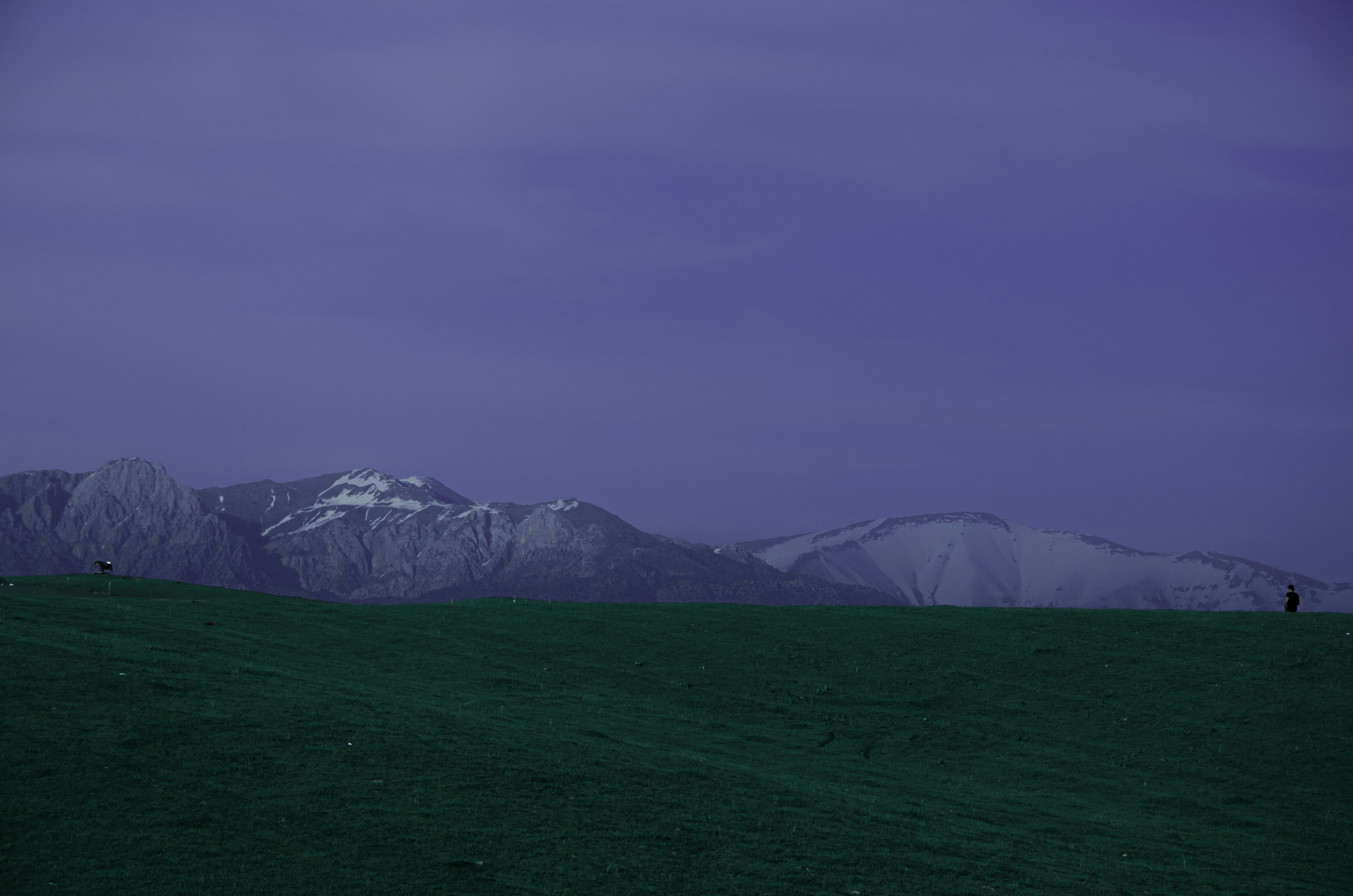 a couple of people standing on top of a lush green field