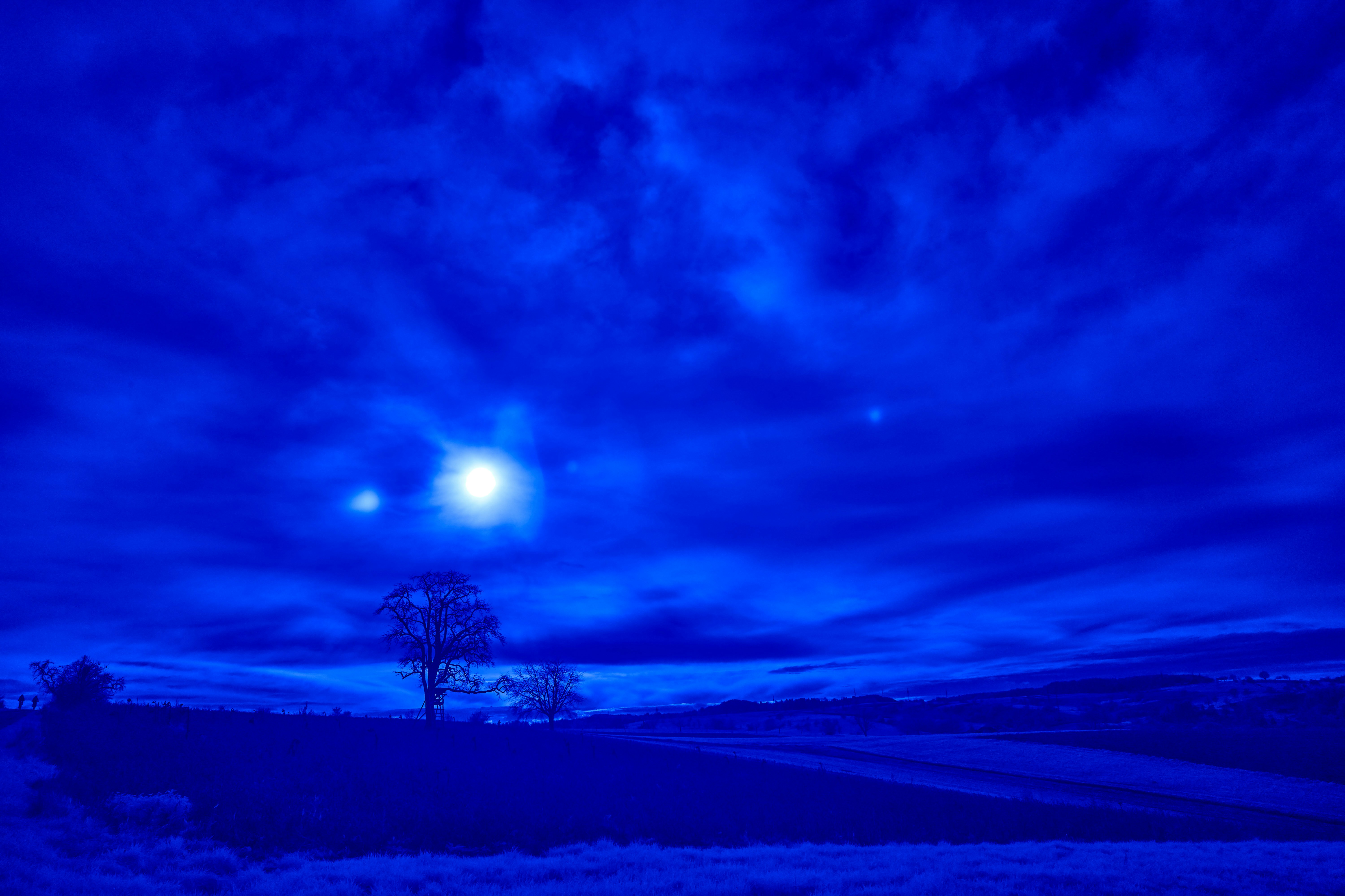 Photo by wolfgang_hasselmann