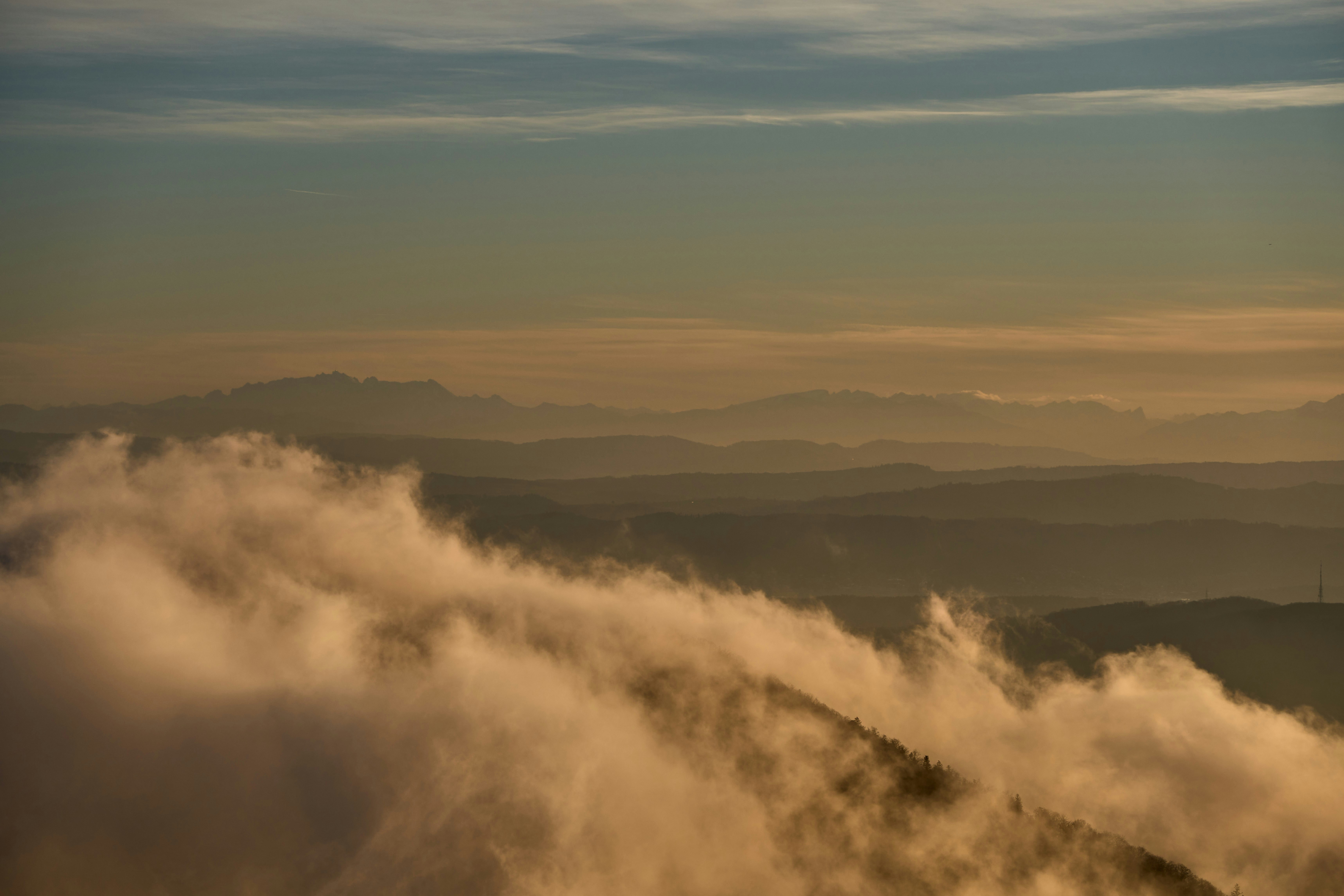 Photo by wolfgang_hasselmann