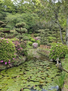 Peaceful garden with flowers and a small pond near the house