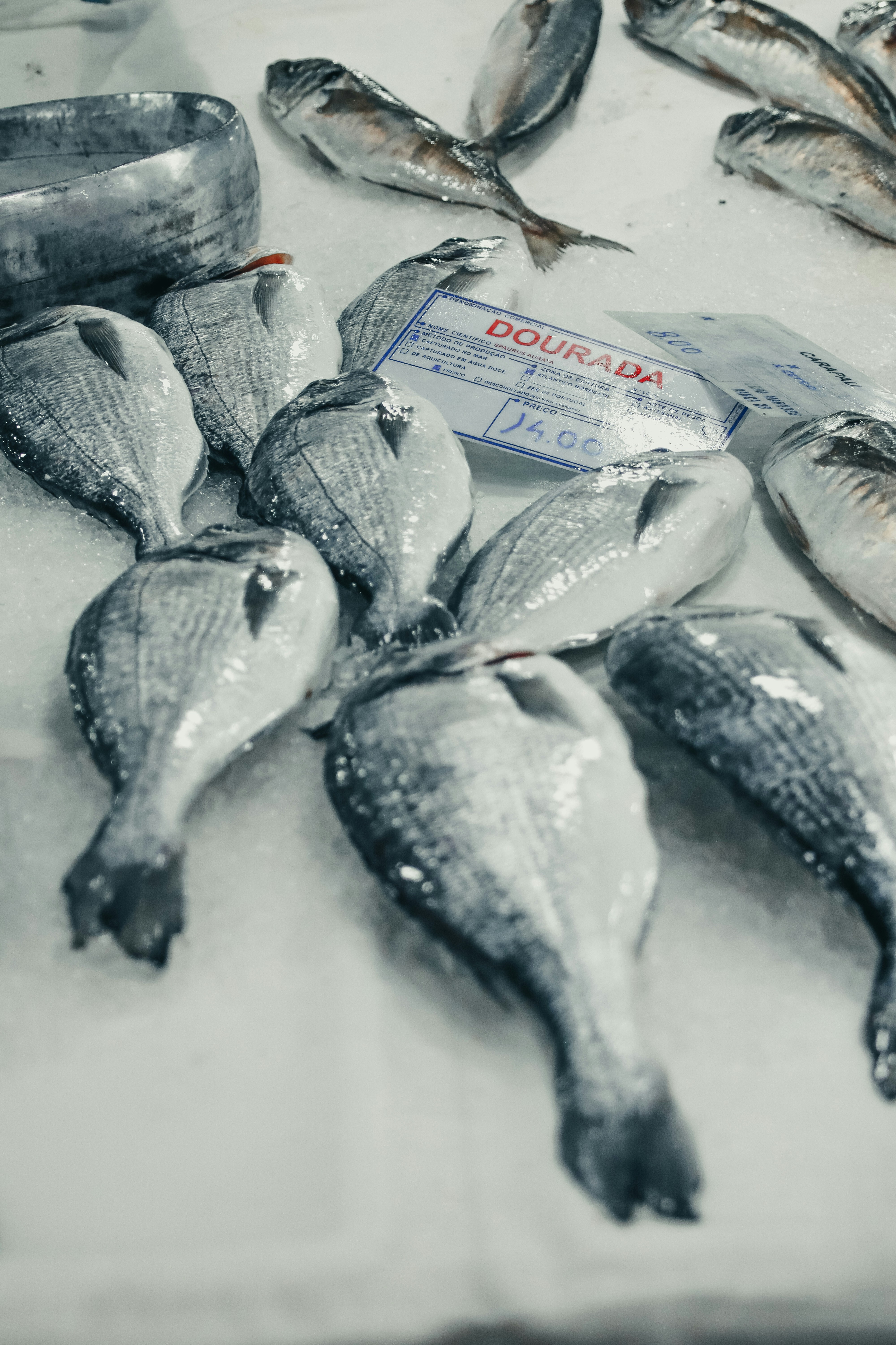 seikat ikan yang ada di atas meja