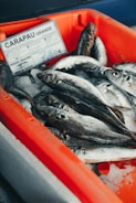 A group of fresh fish is laid out on ice in a red plastic container. A label with the word 'CARAPAU GRANDE' and a price of 7.80€ is visible.