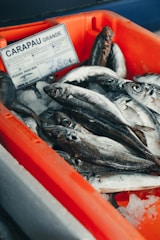 A group of fresh fish is laid out on ice in a red plastic container. A label with the word 'CARAPAU GRANDE' and a price of 7.80€ is visible.