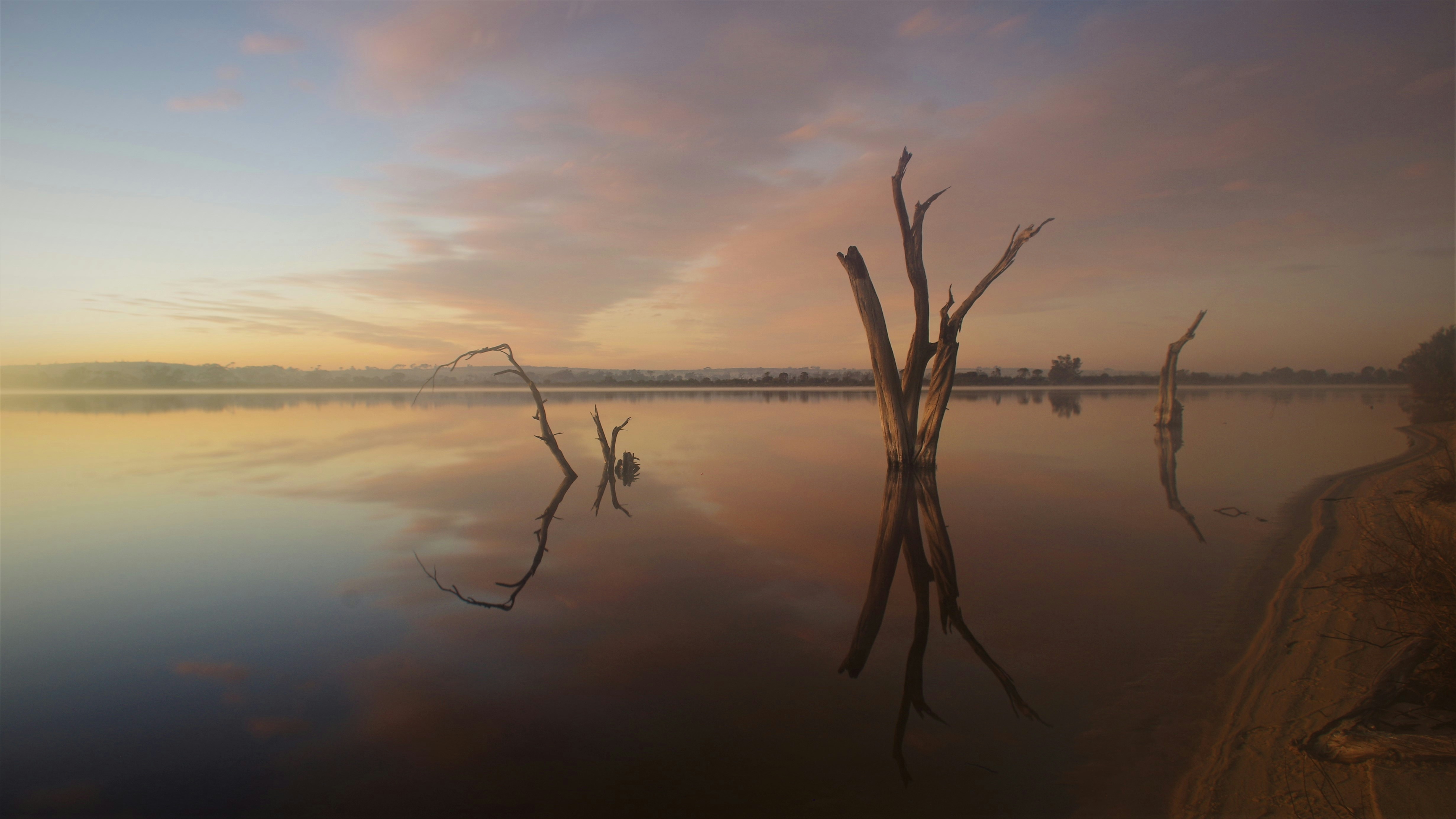 Photo by photoken123