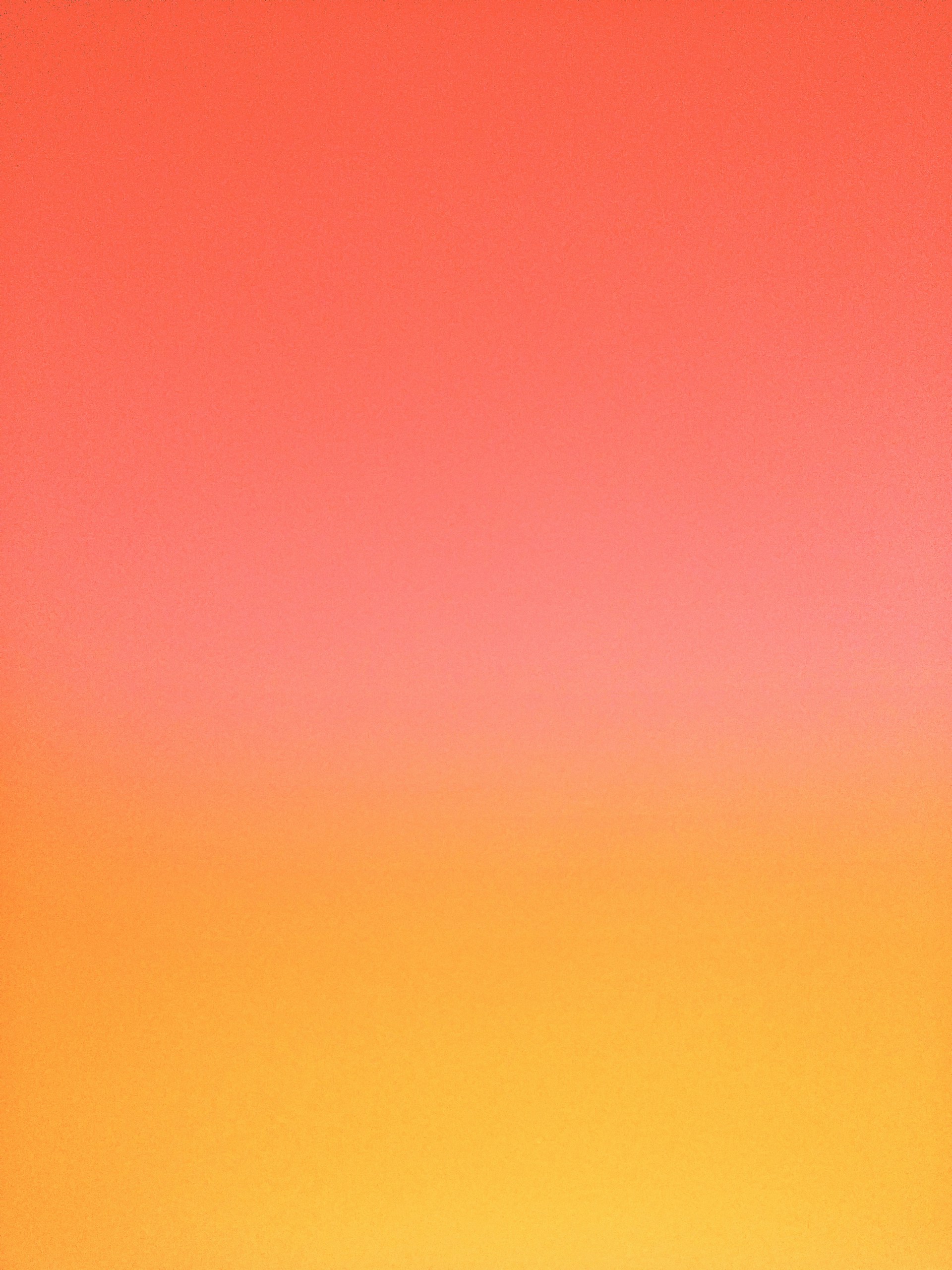 a couple of giraffes are standing in a field