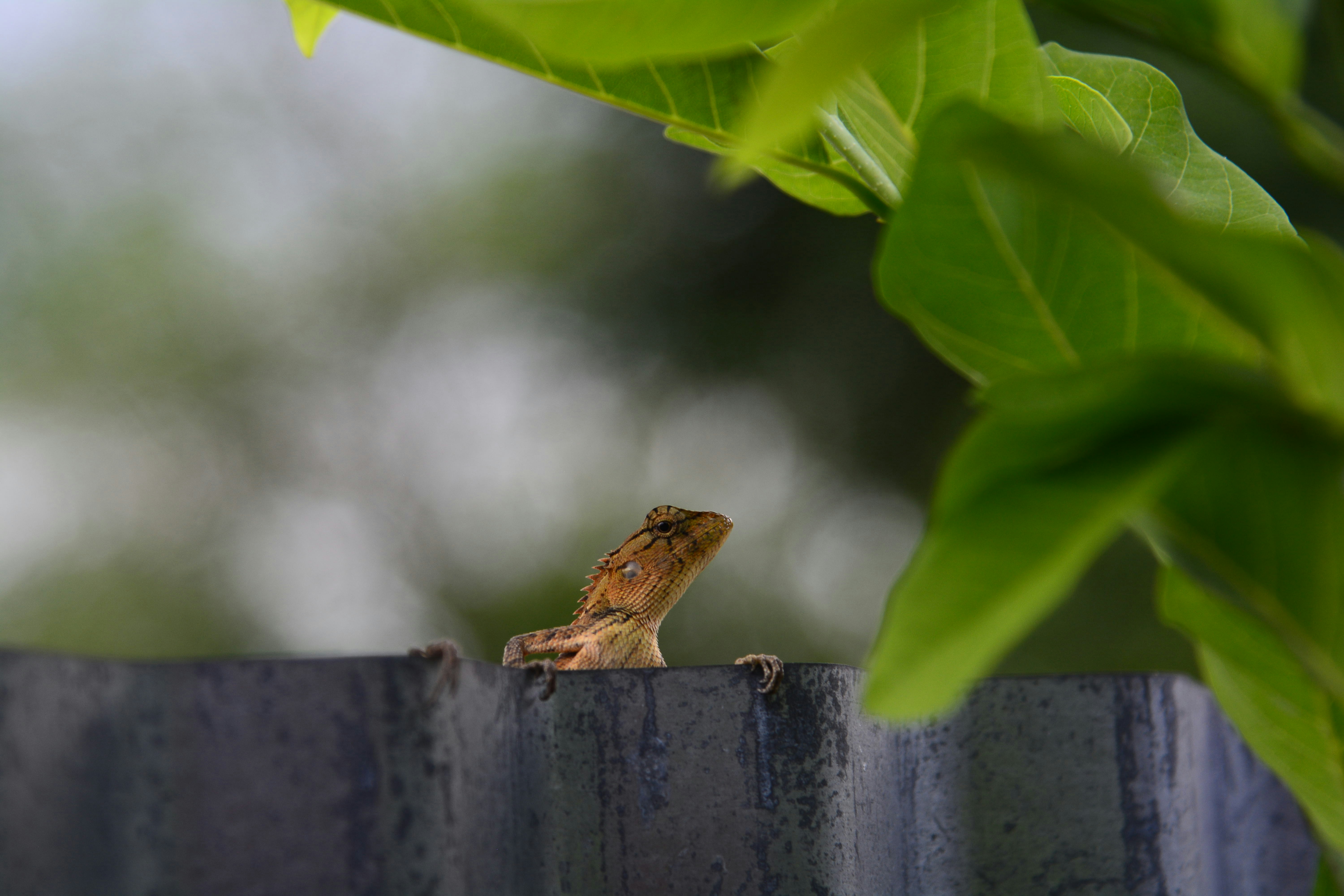 Photo by maiami24569