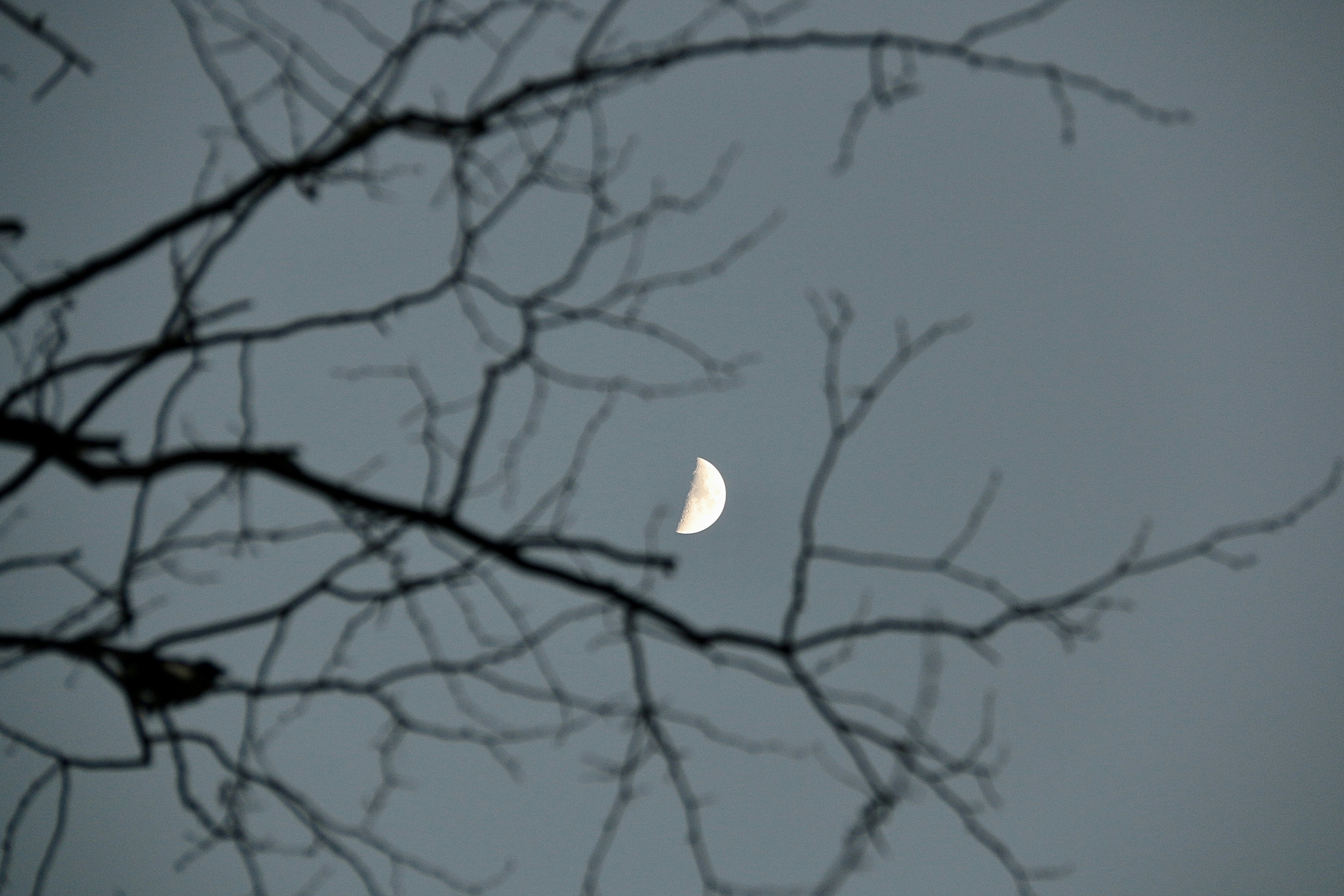 Photo by thundercloudpwp